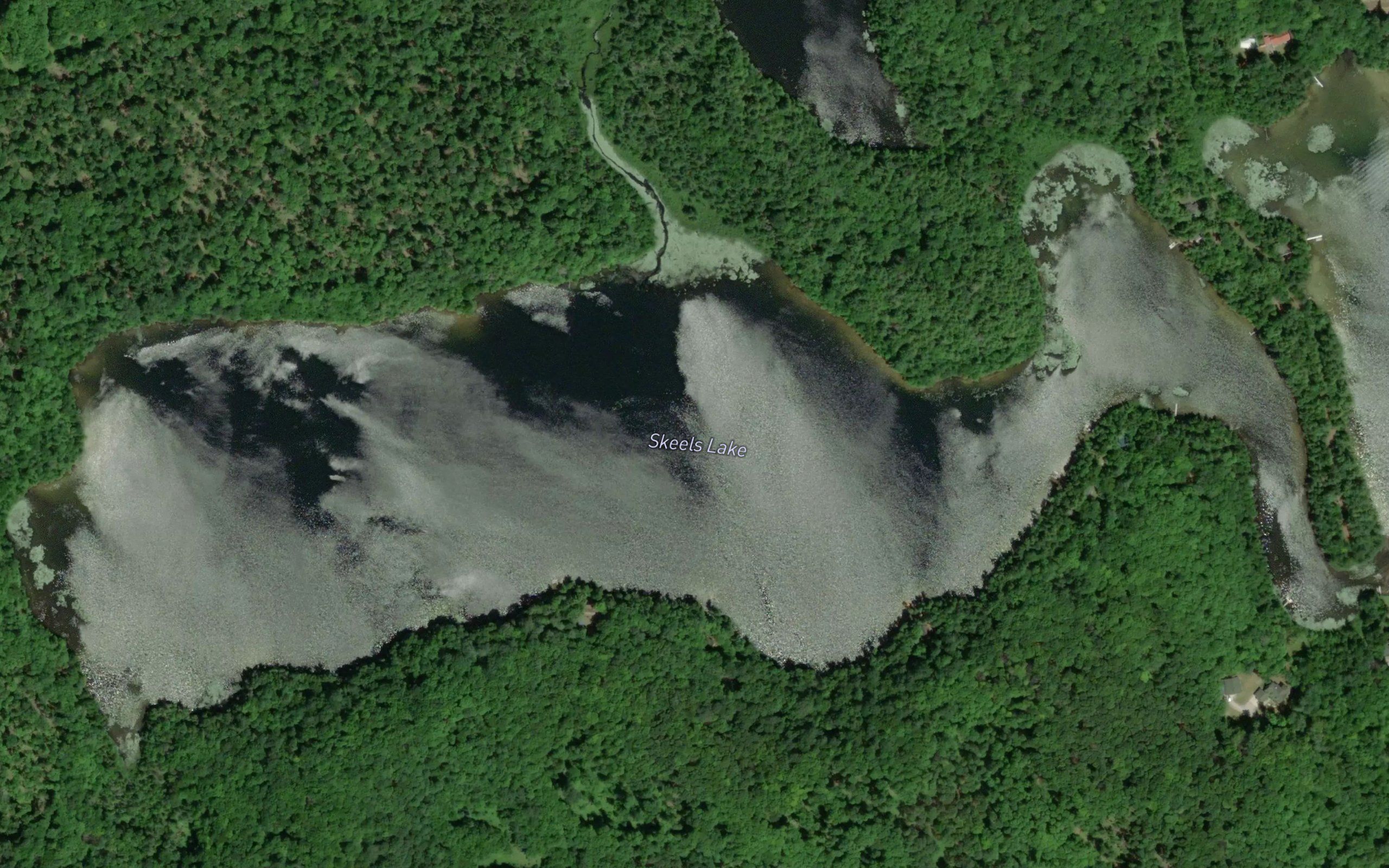 Skeels Lake