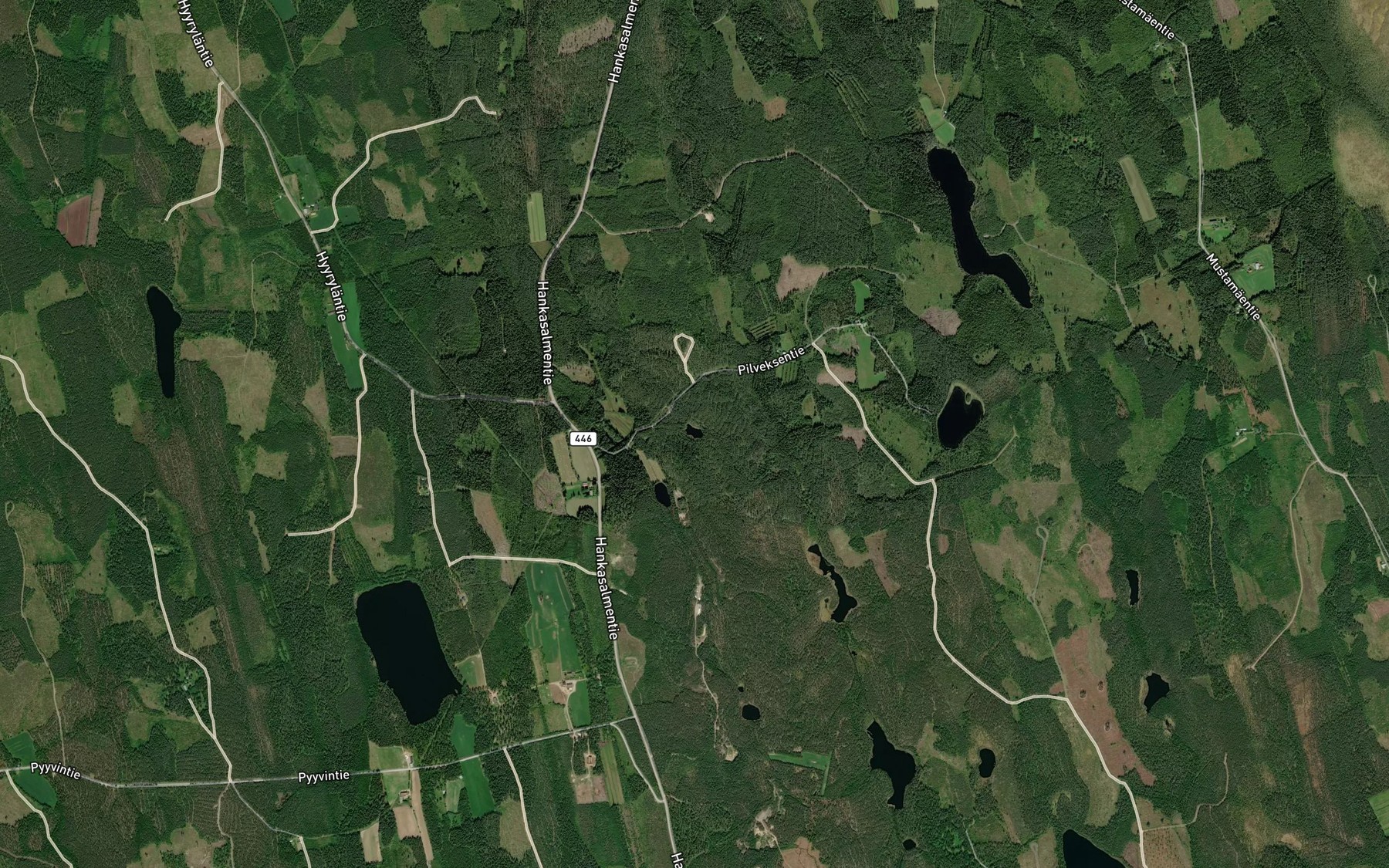 Satellite map of the Viidanlampi