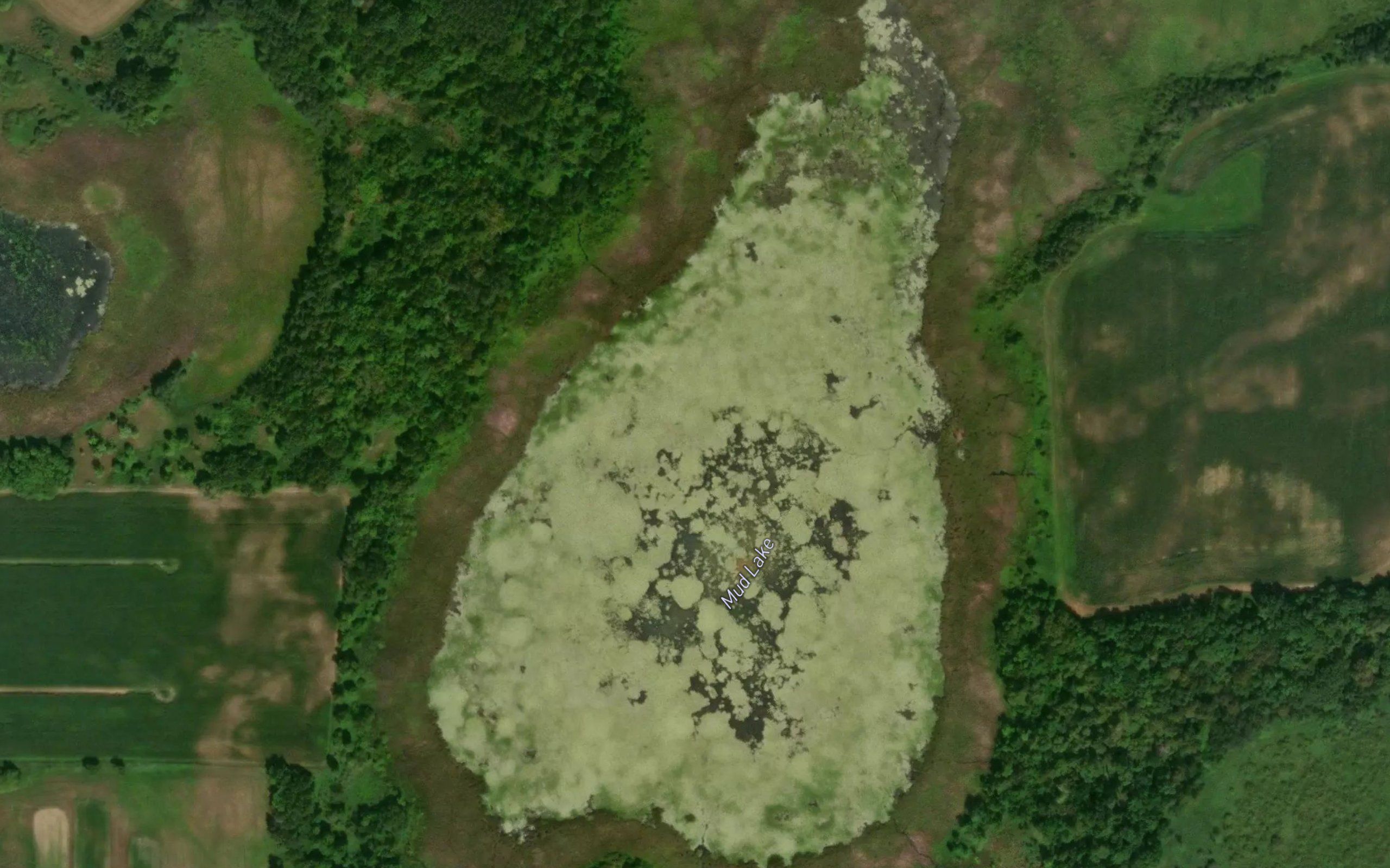 Mud Lake