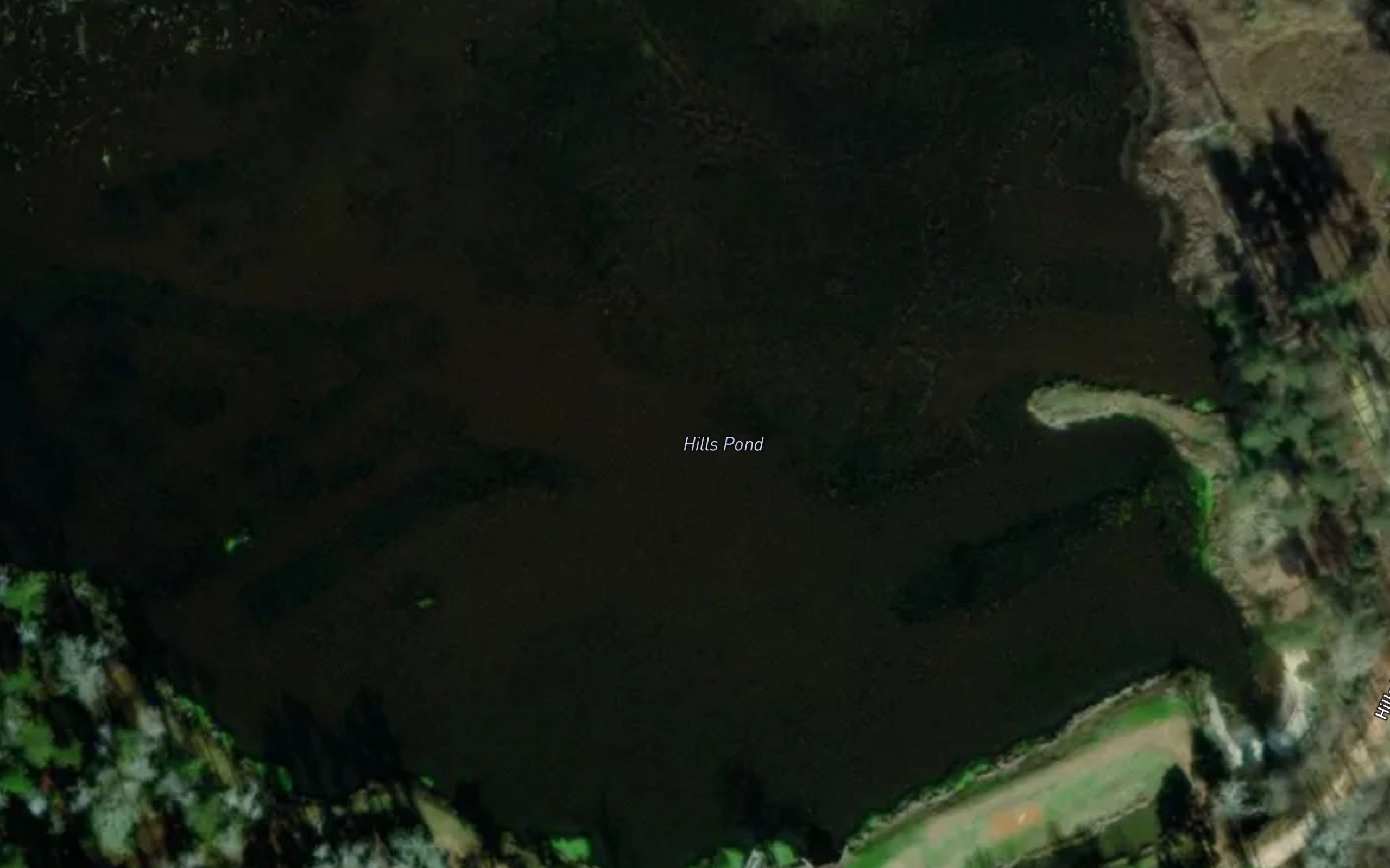 Hills Pond