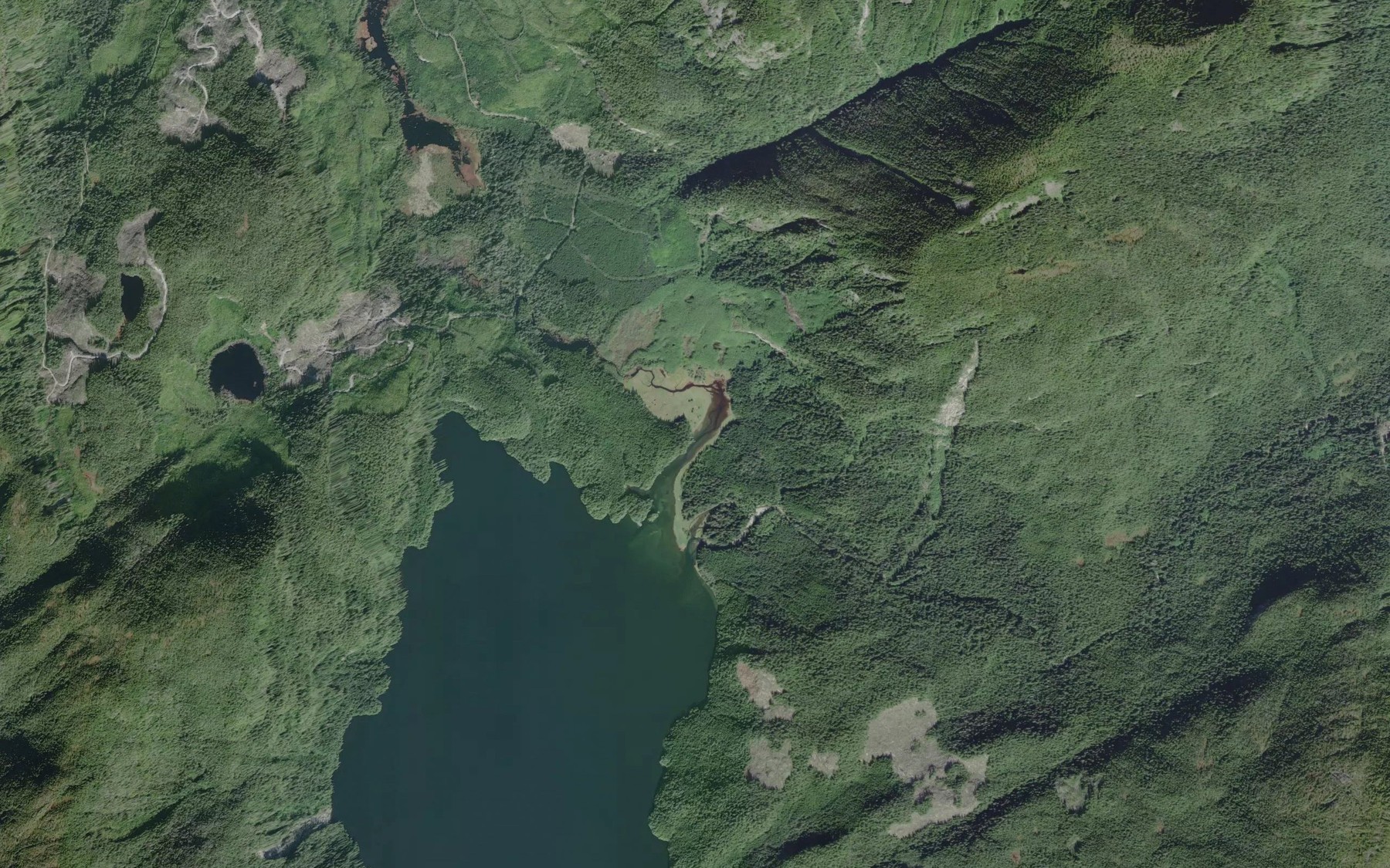 Satellite map of the Ahta River