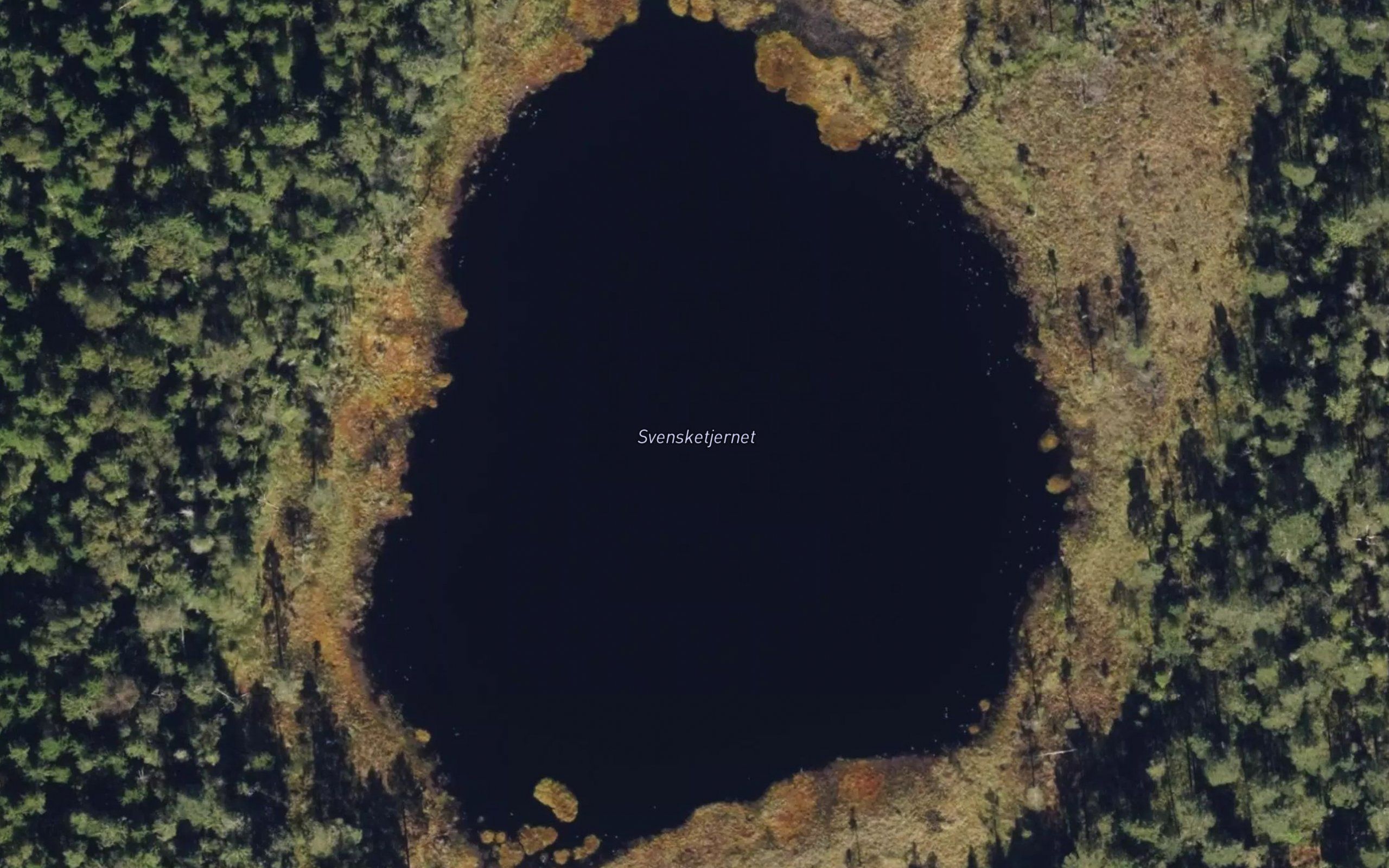 Svensketjernet