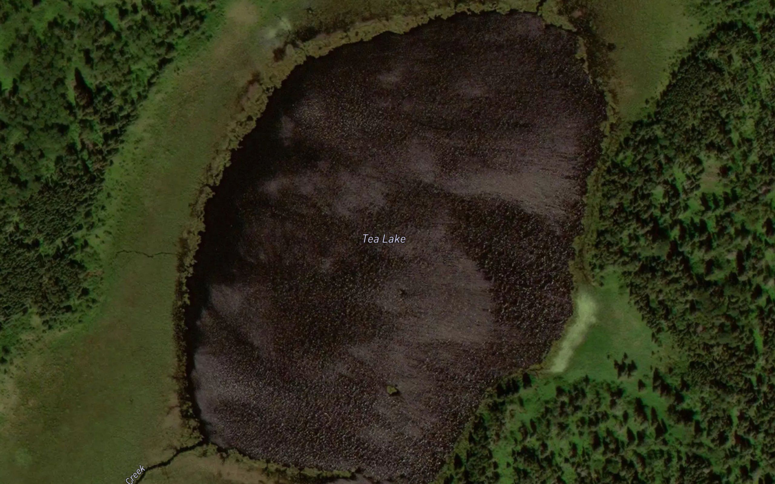 Tea Lake