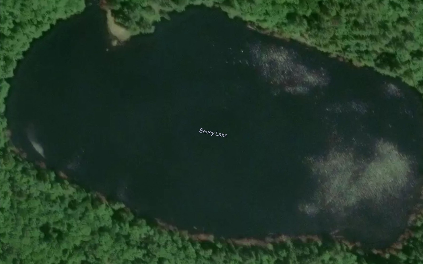 Satellite map of the Benny Lake