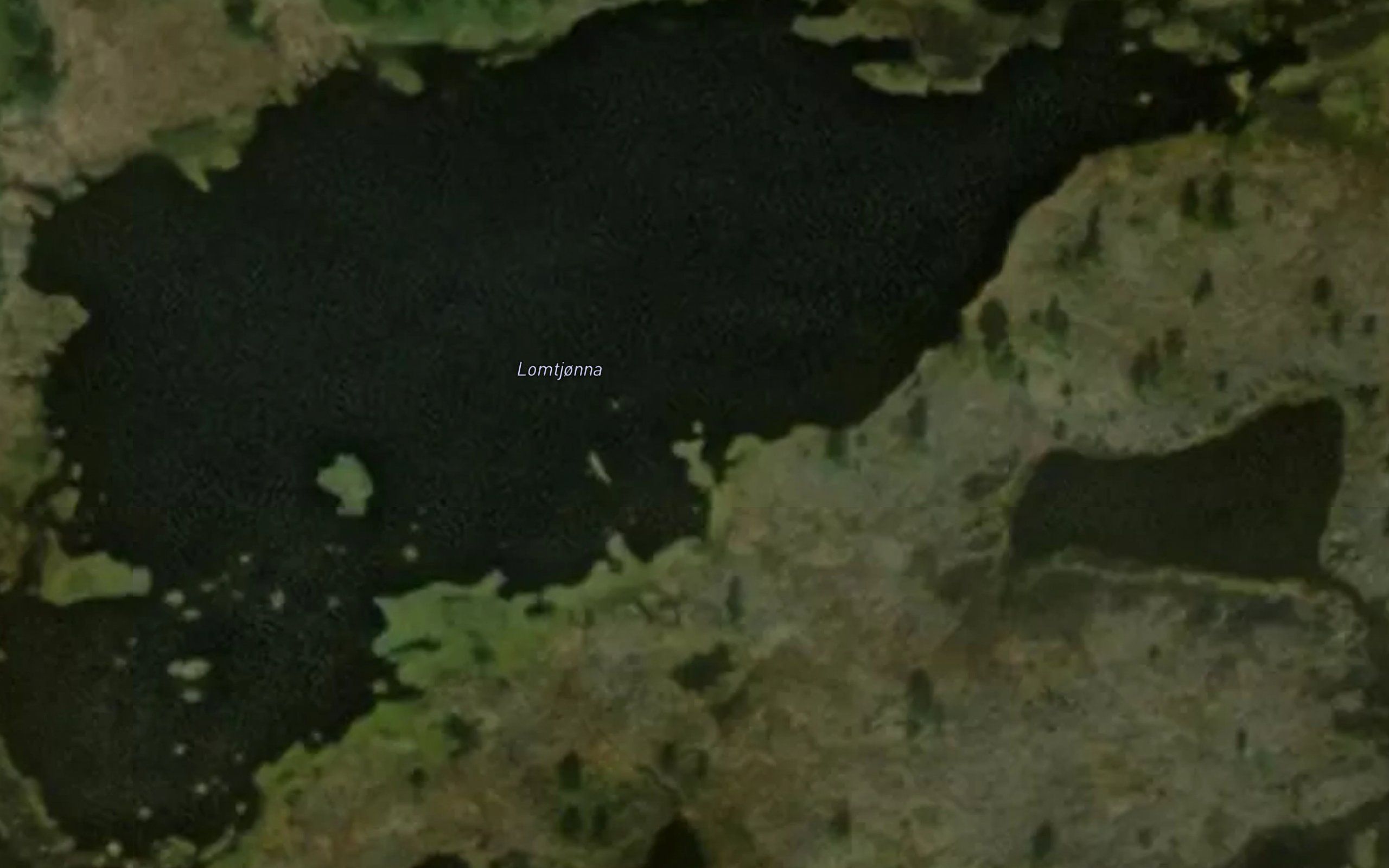 Lomtjonna