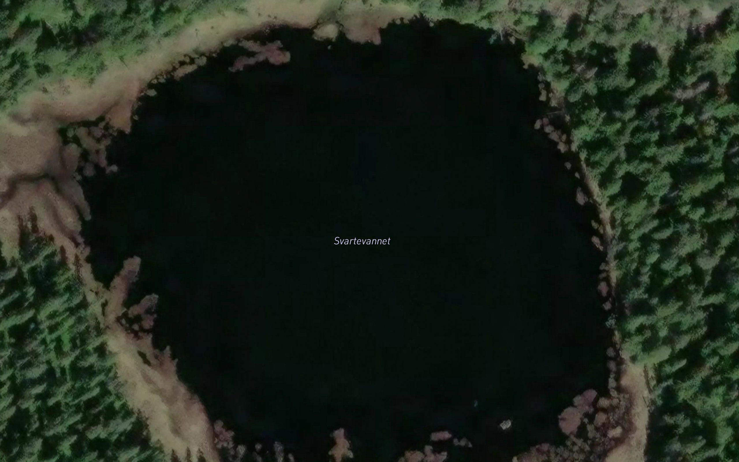 Svartevannet