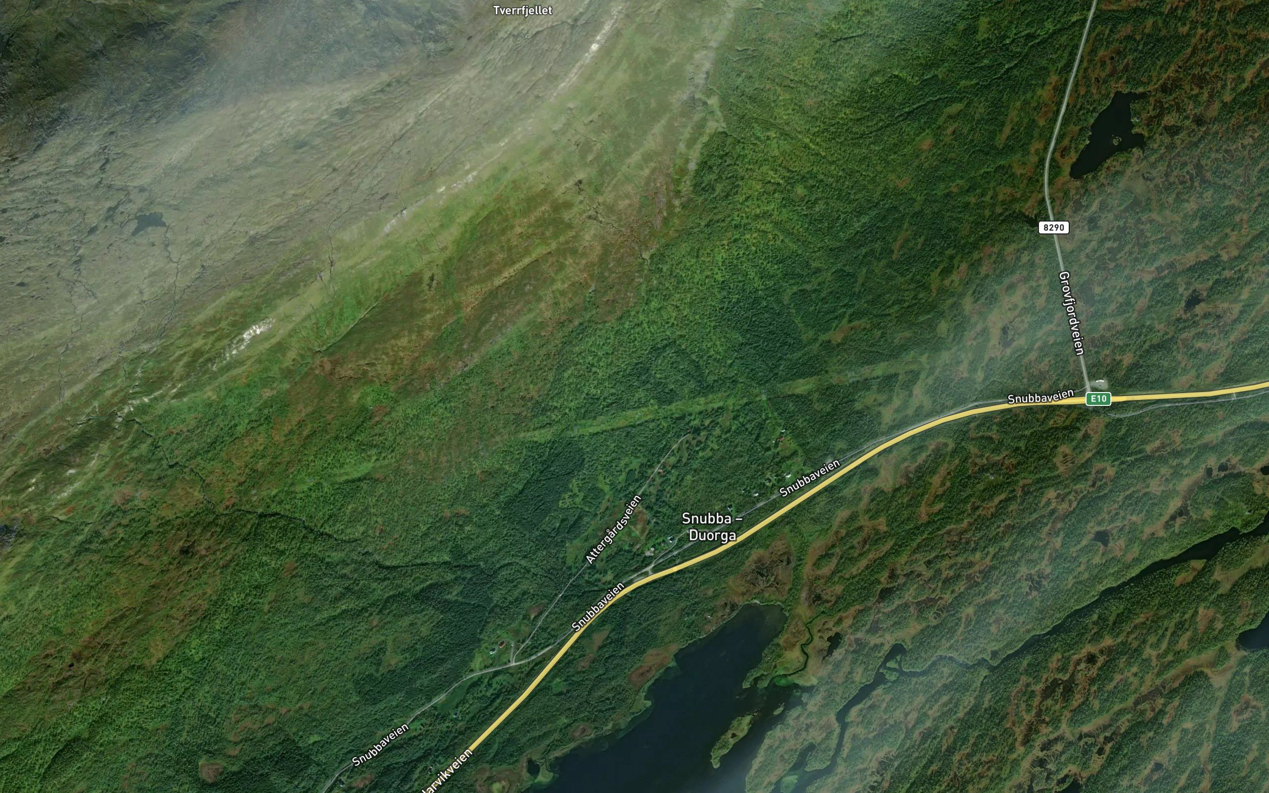 Larselva