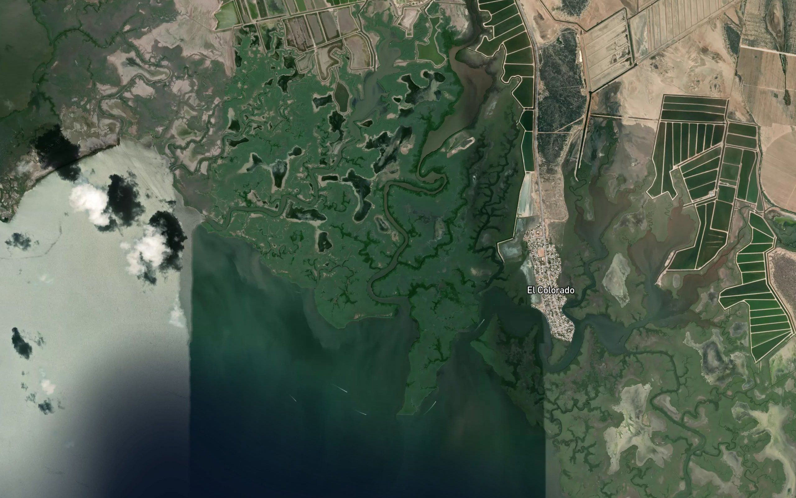 Estero la Yegua