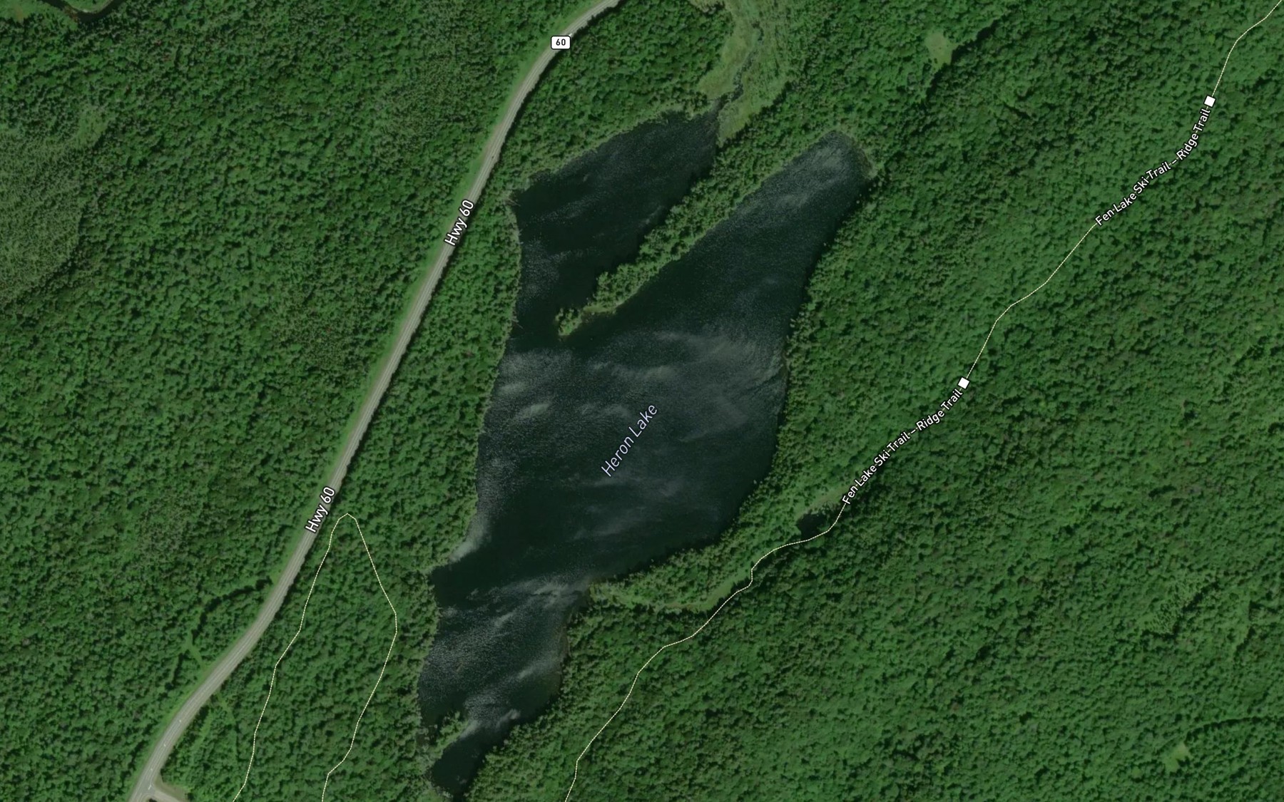 Satellite map of the Heron Lake