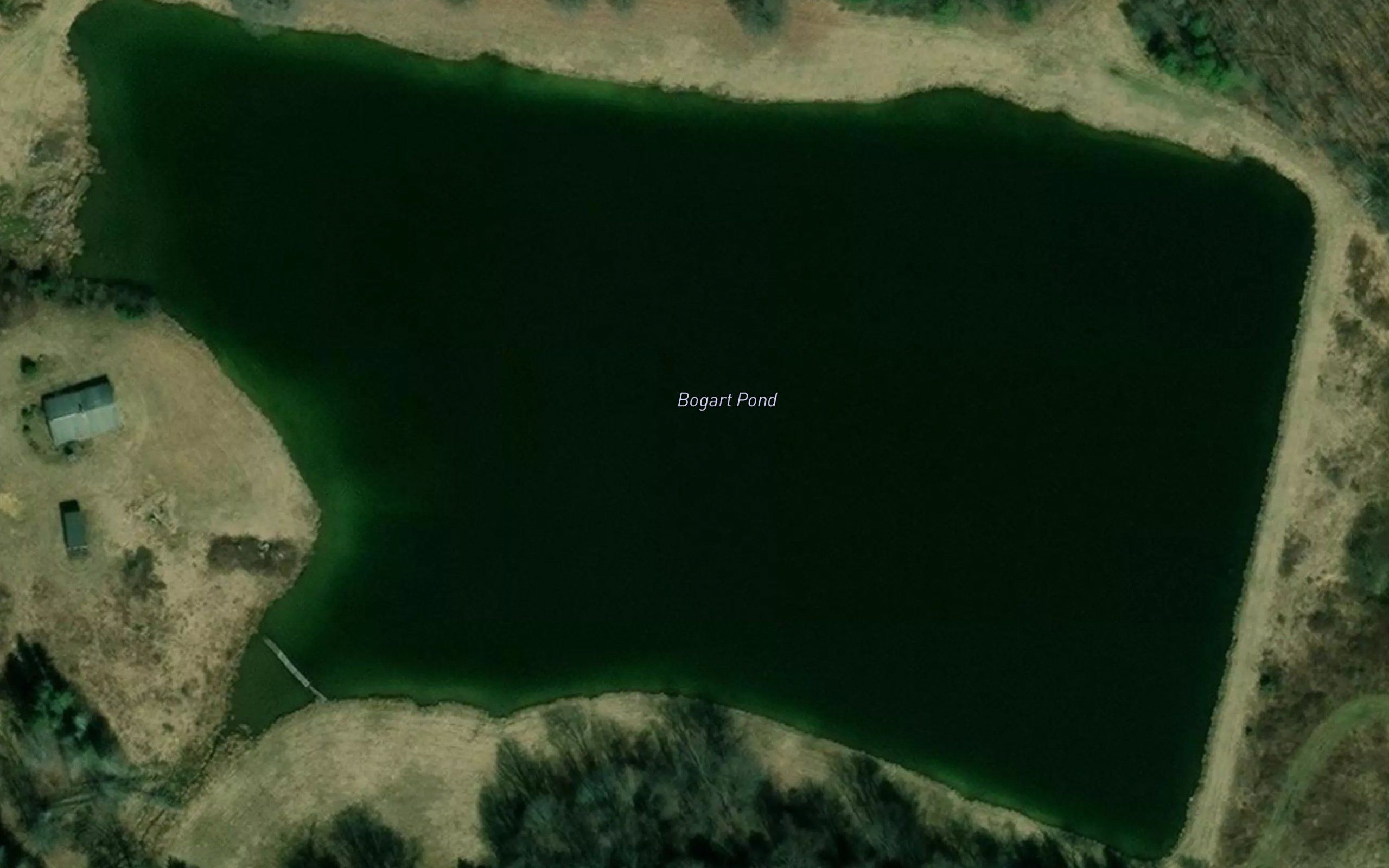 Bogart Pond