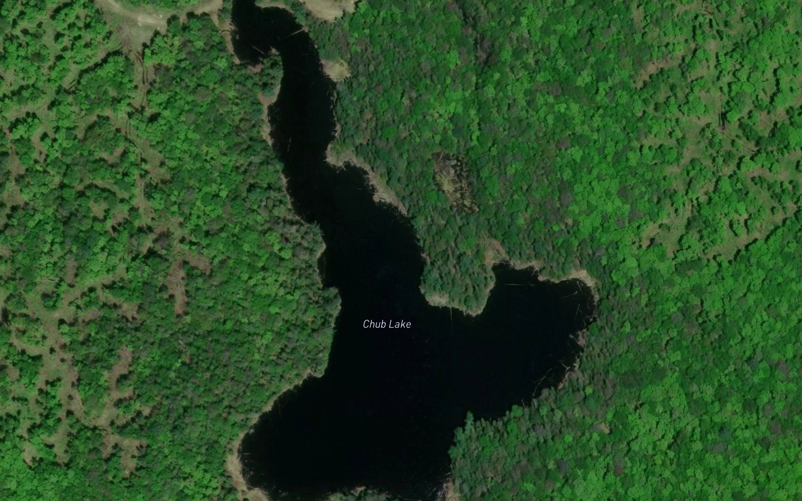 Chub Lake