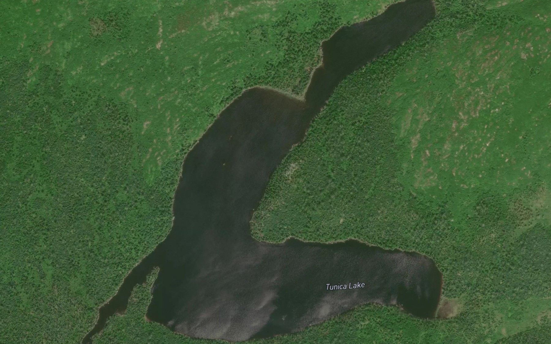Satellite map of the Tunica Lake