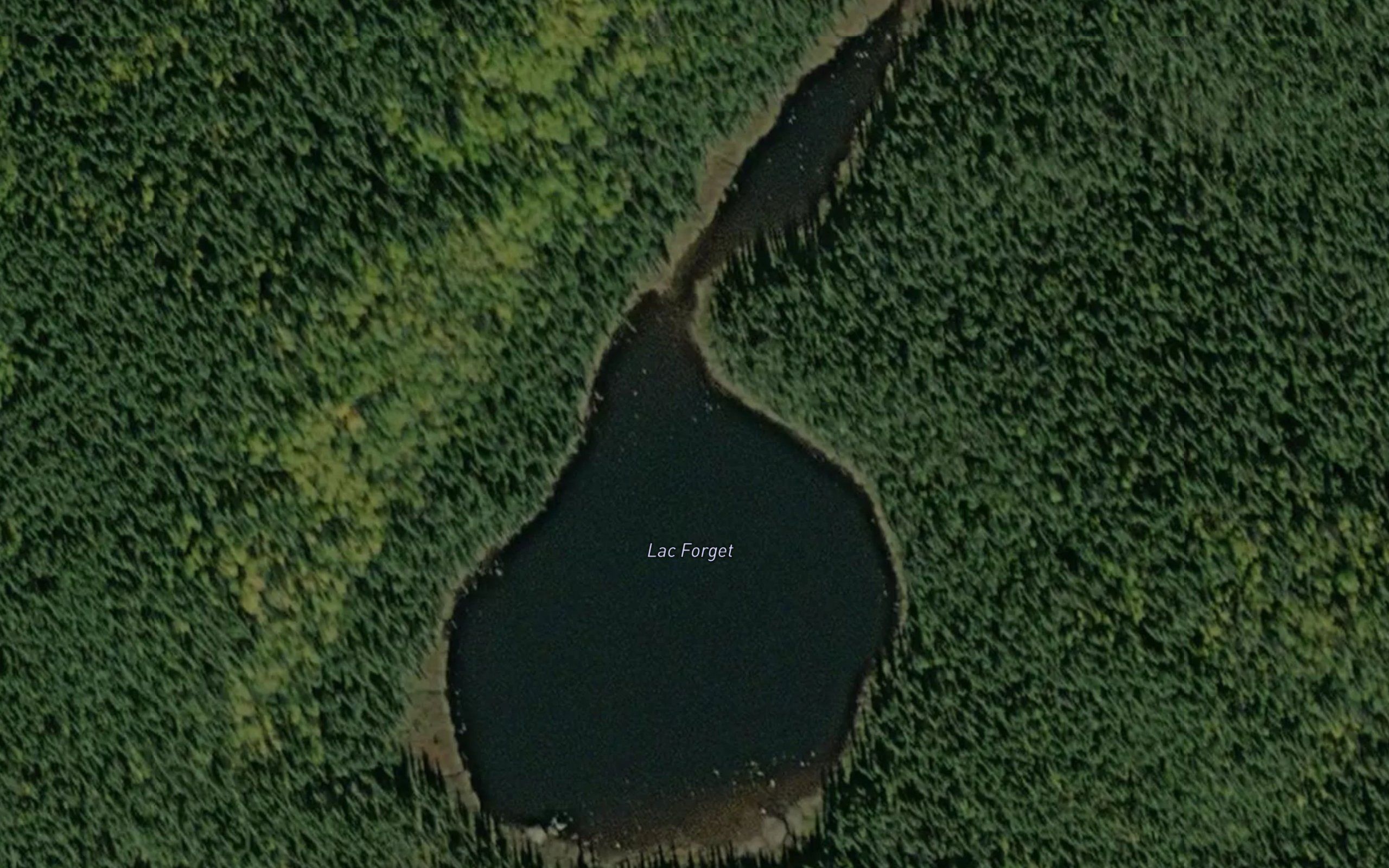 Lac Forget