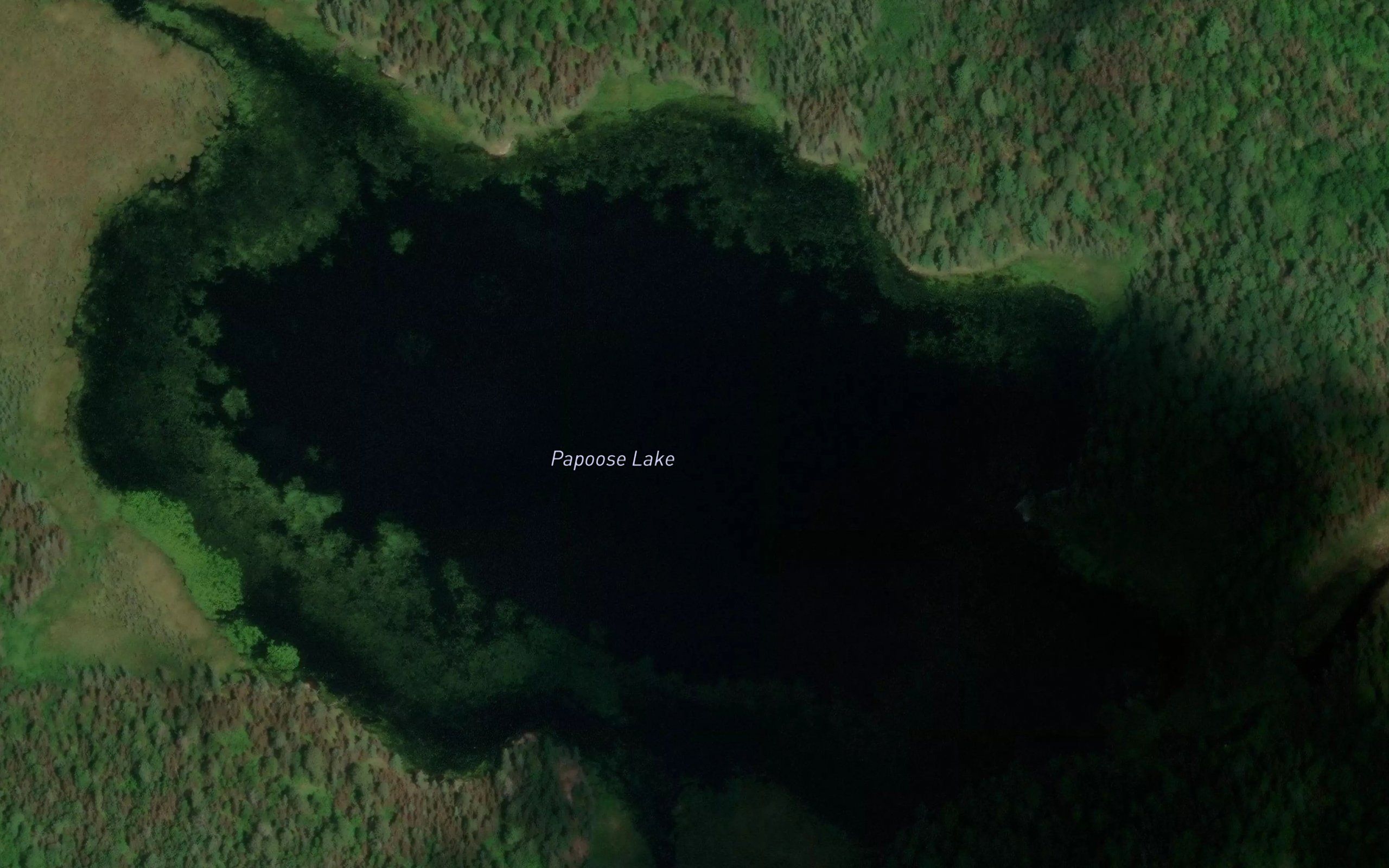 Papoose Lake