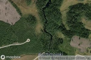 Pystykoski