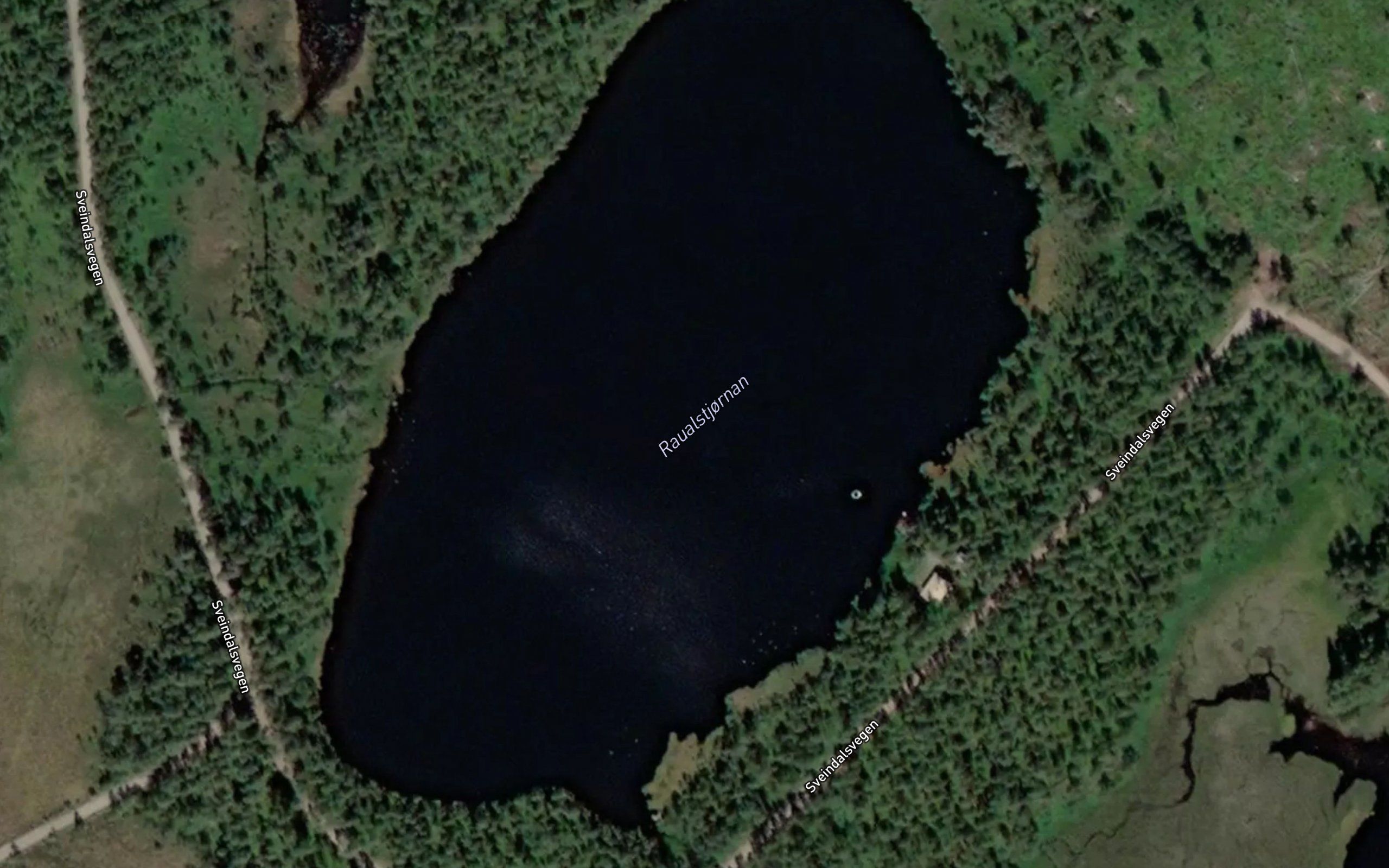 Raualtjonn