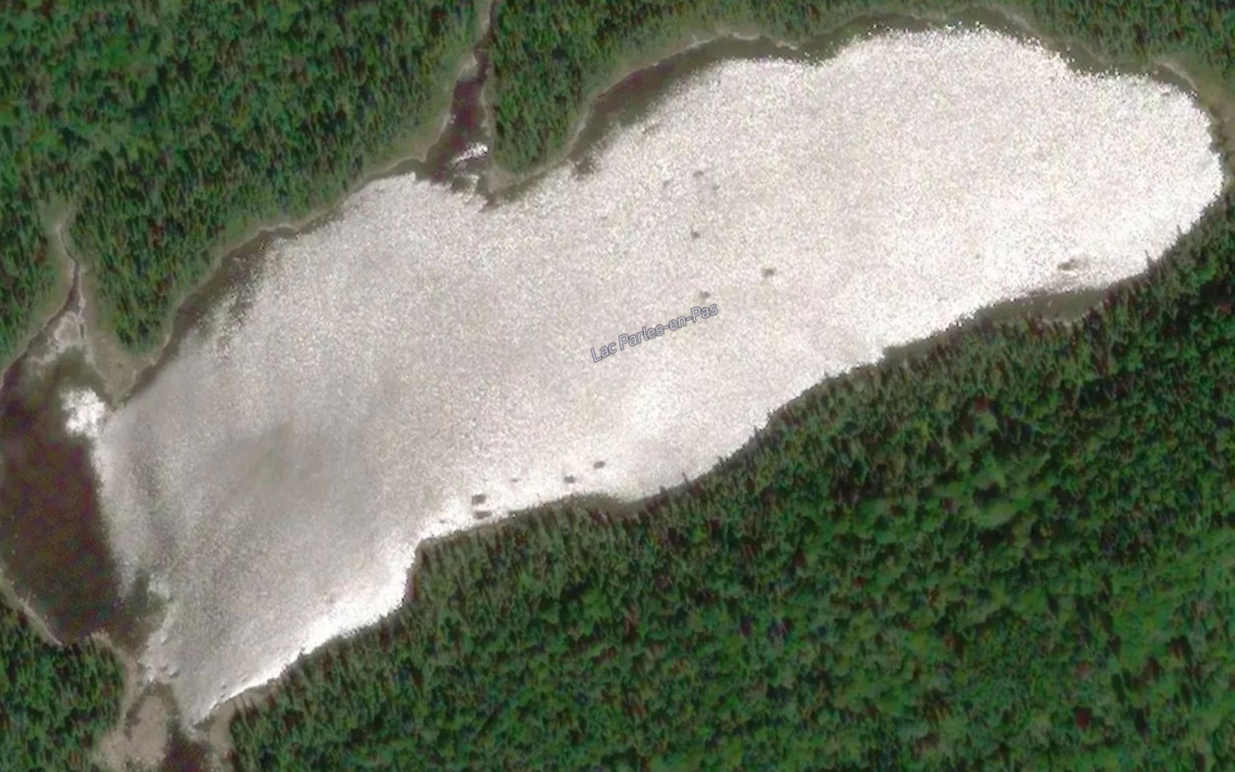 Satellite map of the Lac Parles-en-Pas