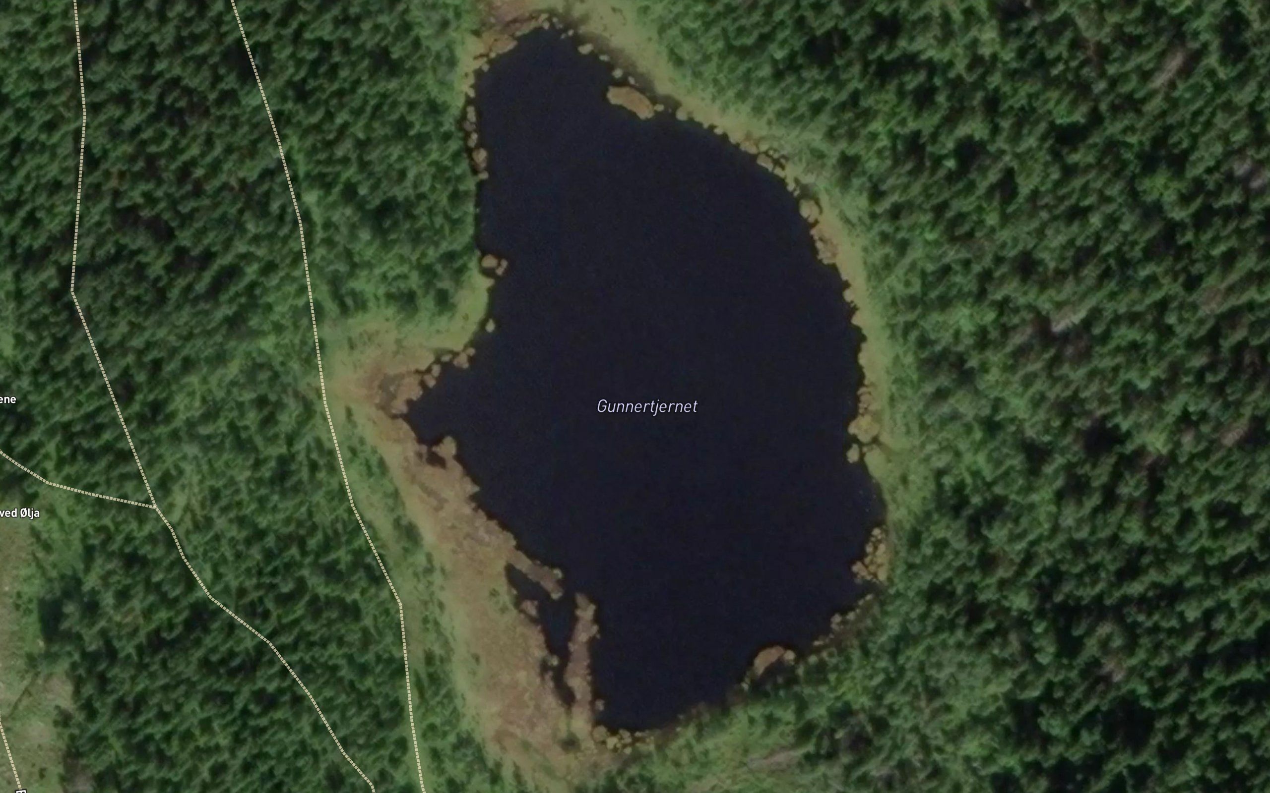 Gunnertjernet