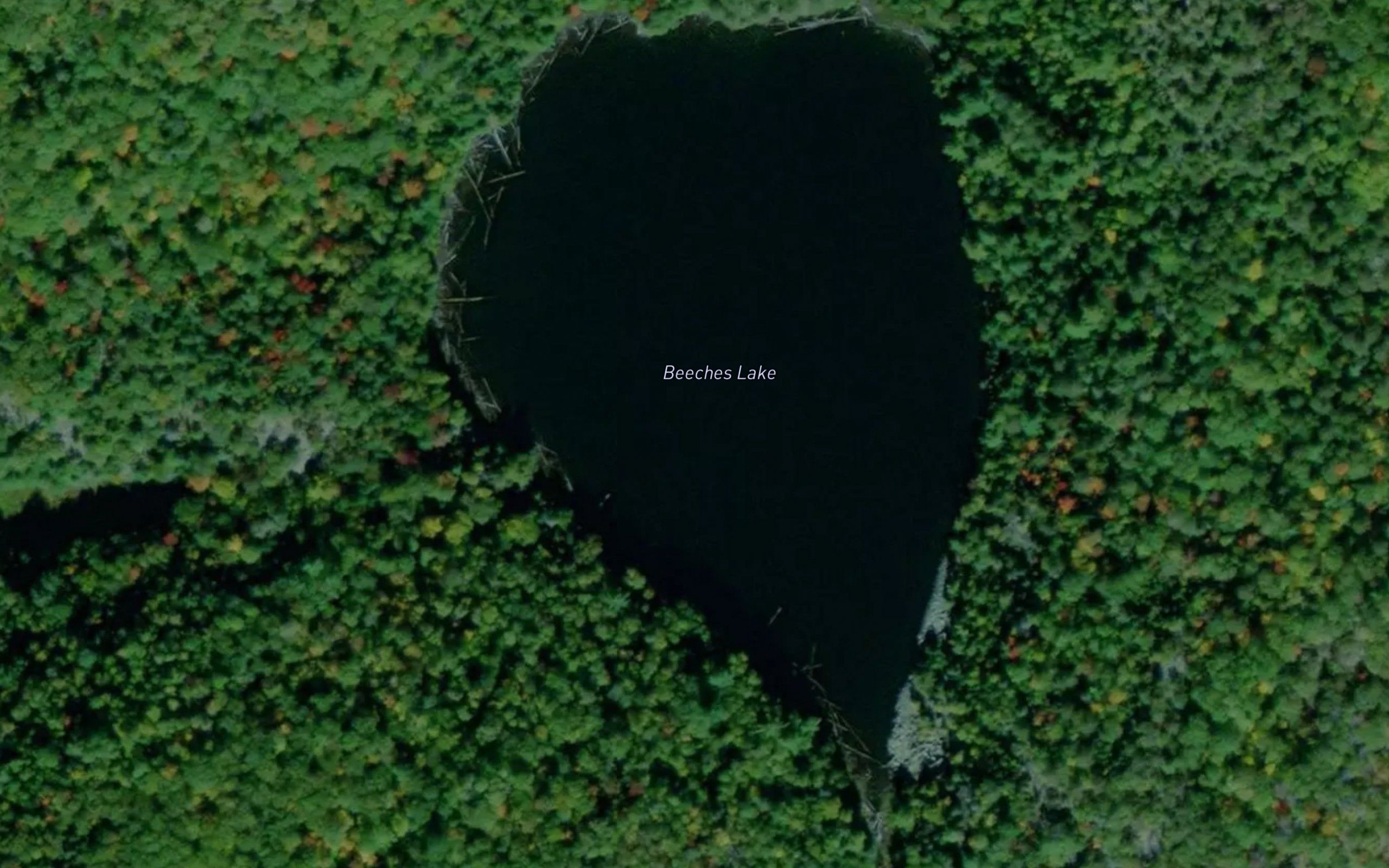 Beeches Lake