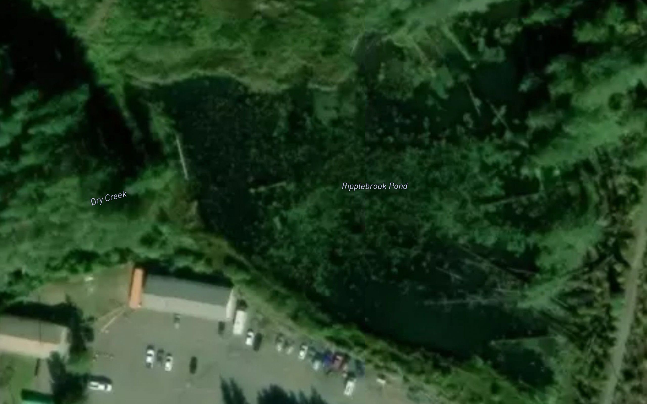 Ripplebrook Pond