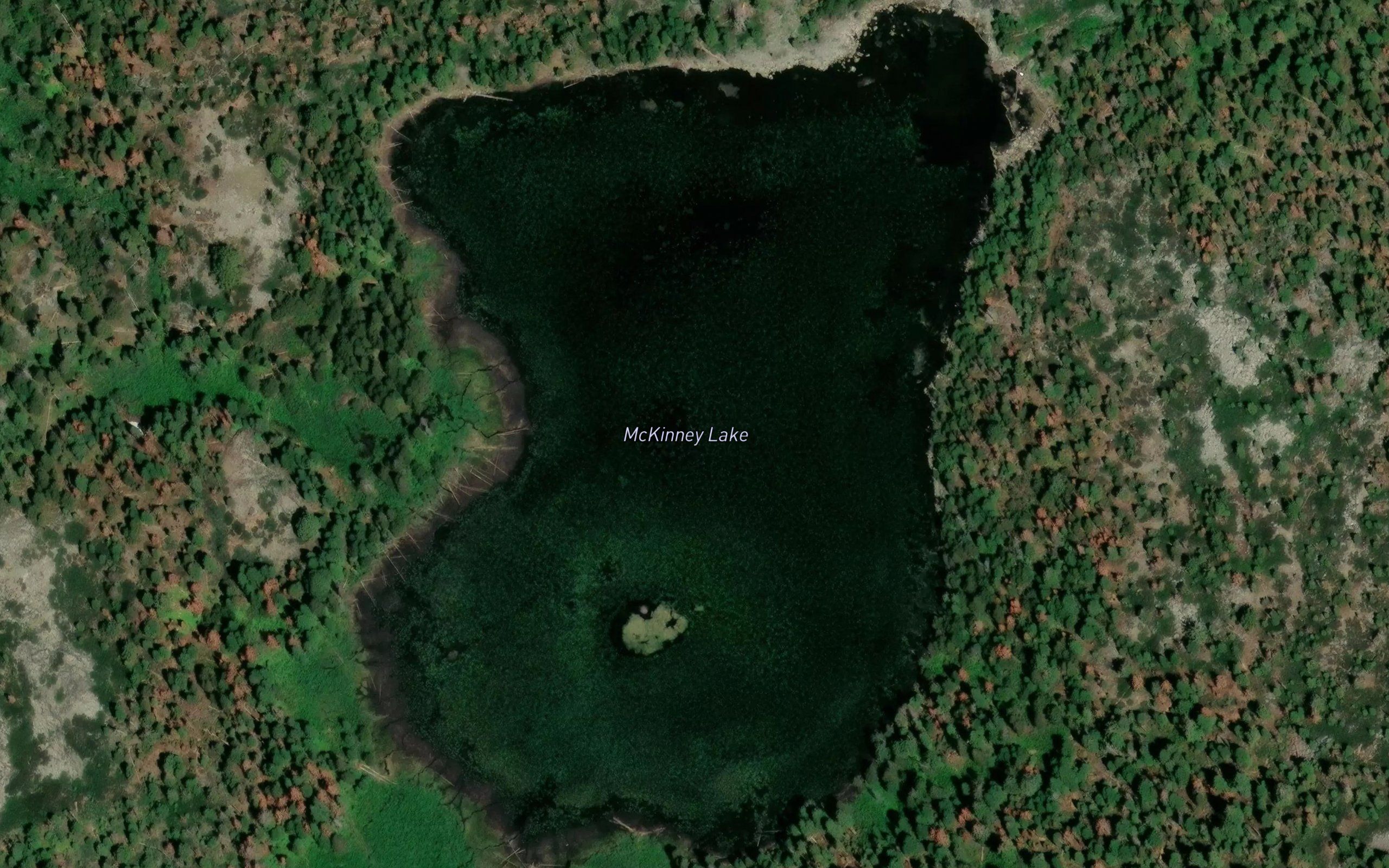 McKinney Lake