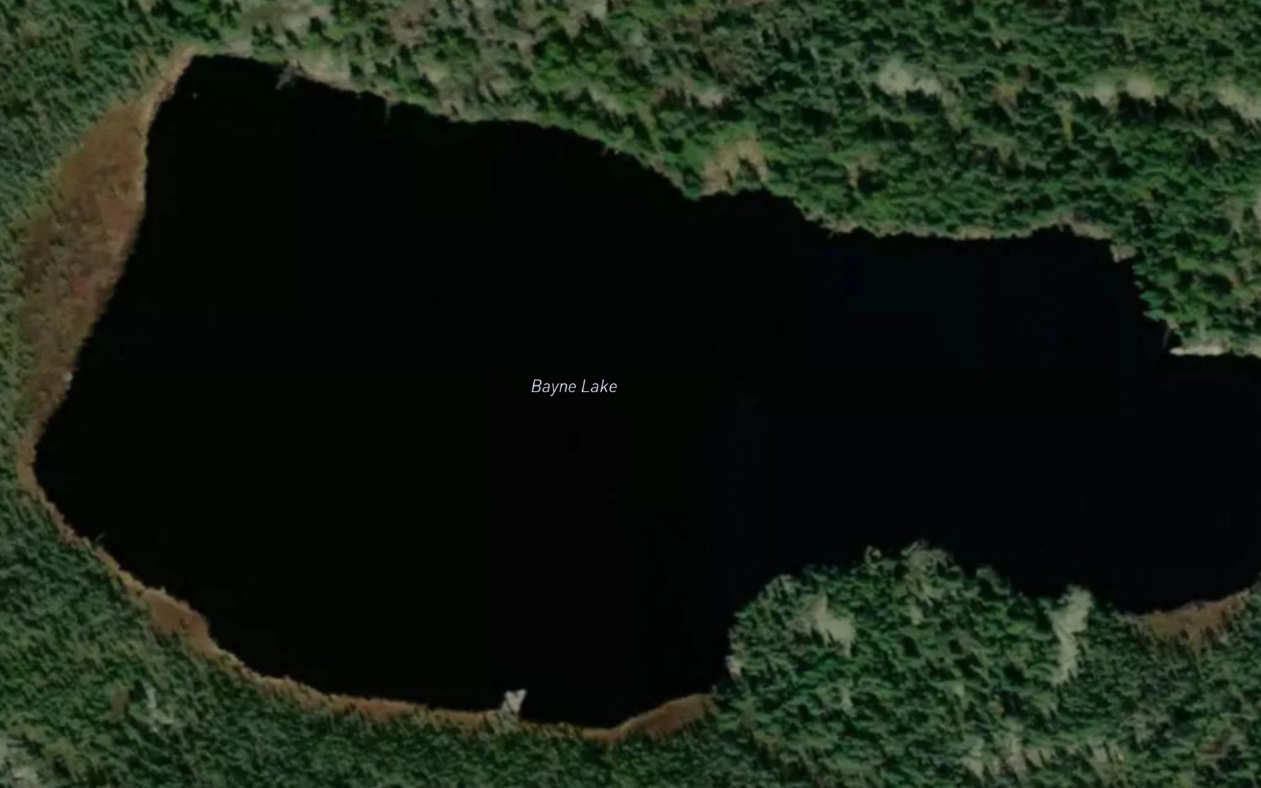 Satellite map of the Bayne Lake