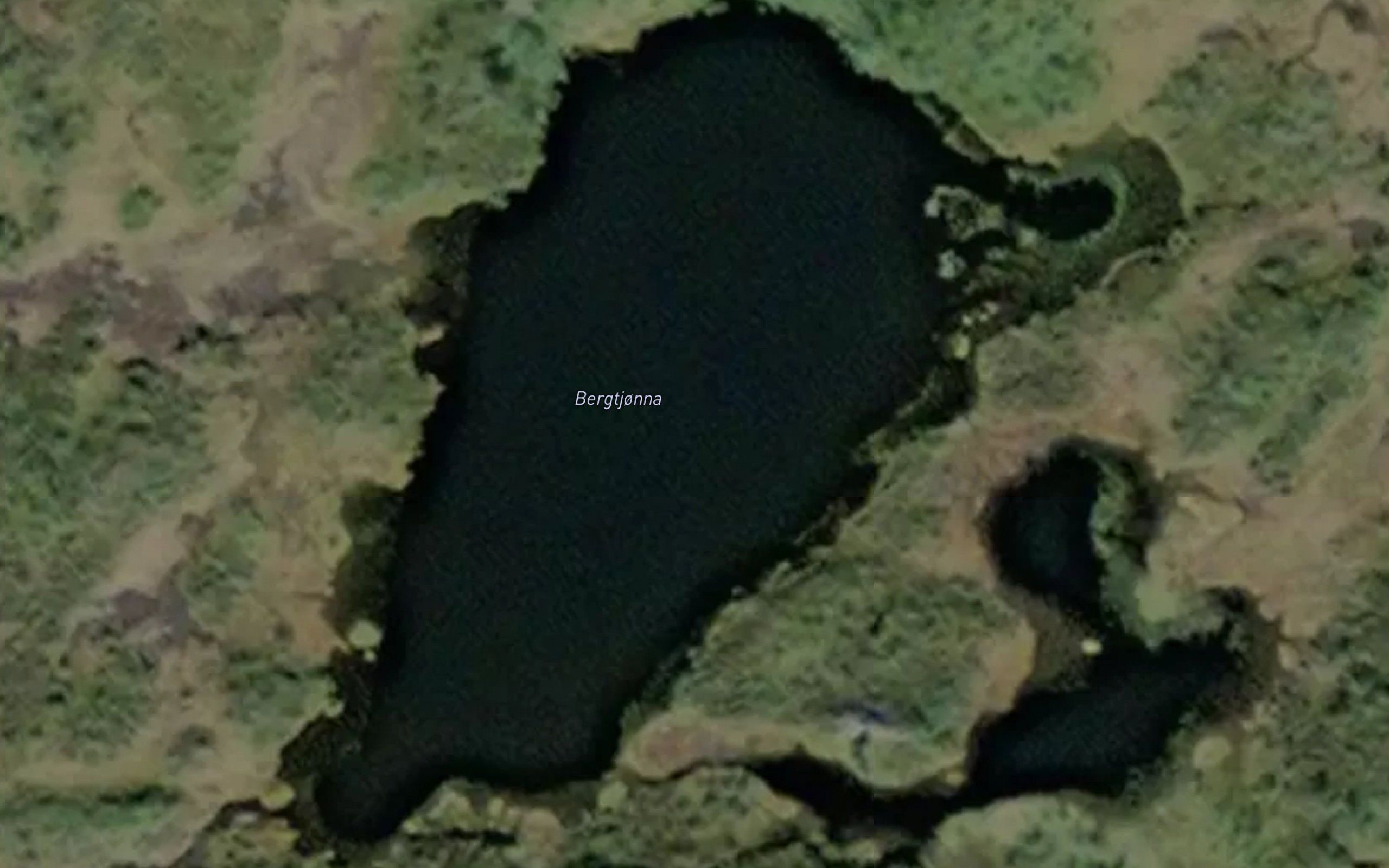 Bergtjonna