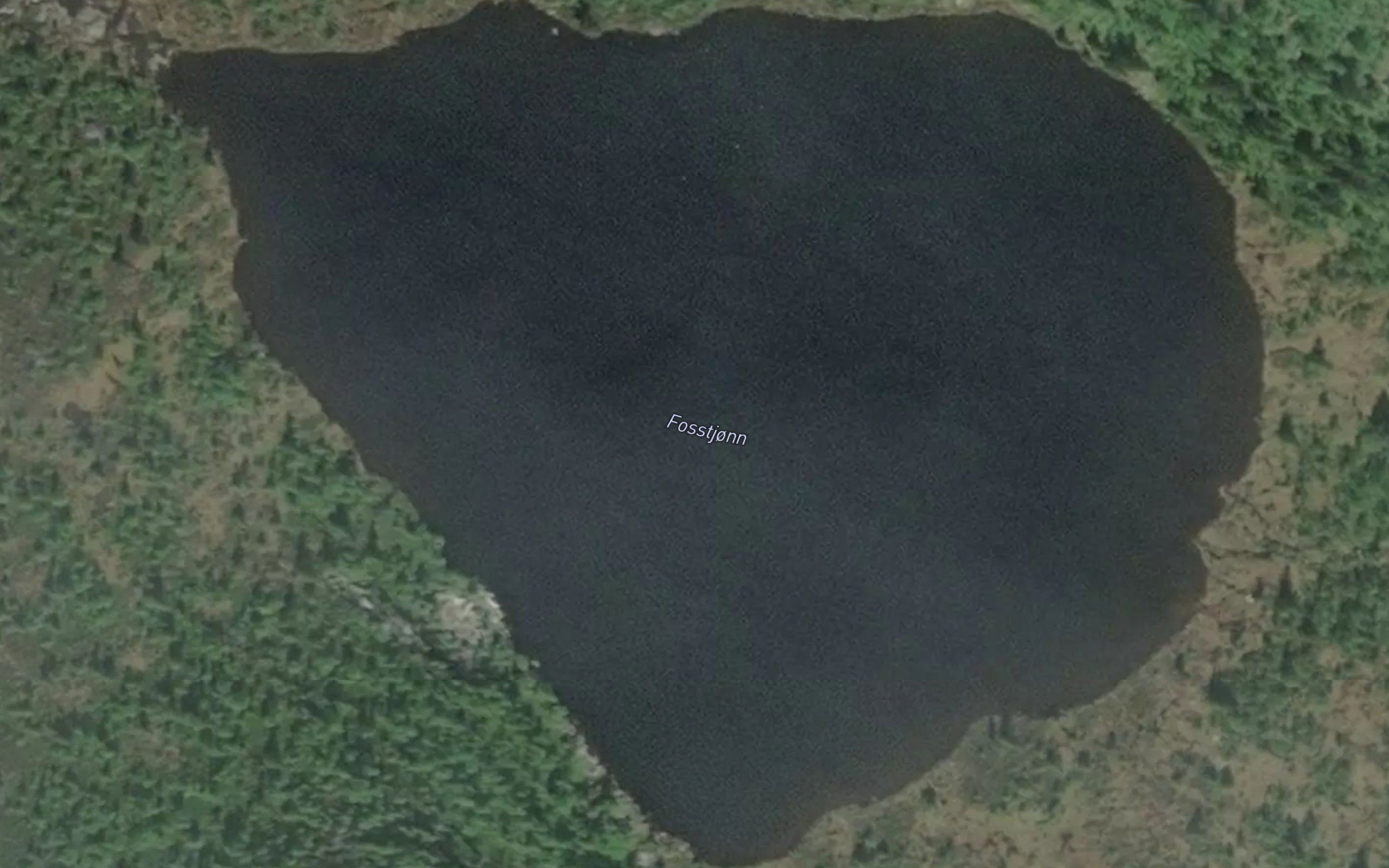 Fosstjorn