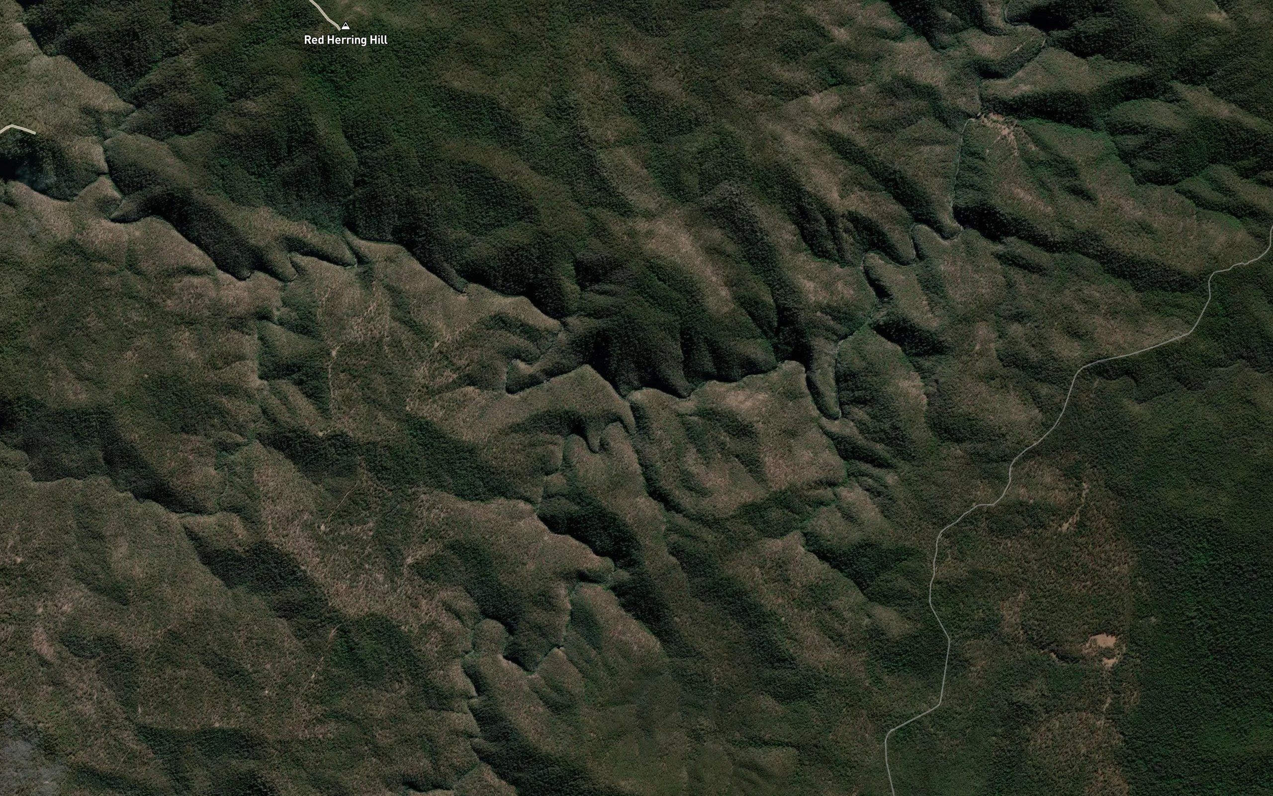 Opossum Creek