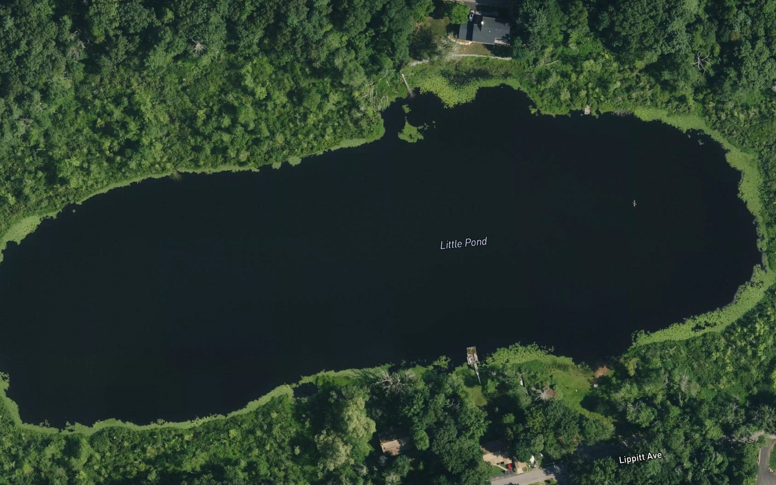 Little Pond