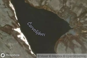 Carvusjavri