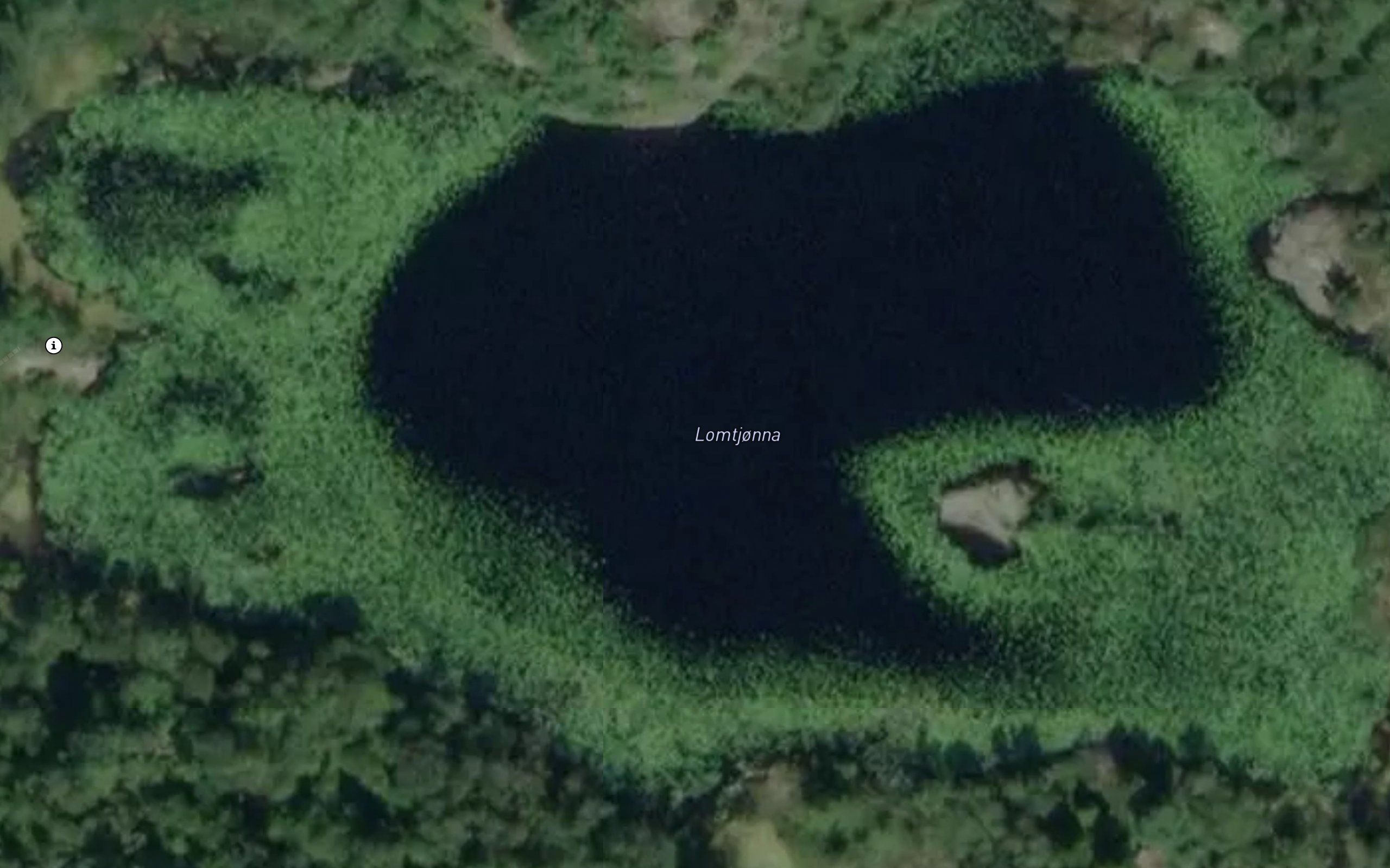 Lomtjonna