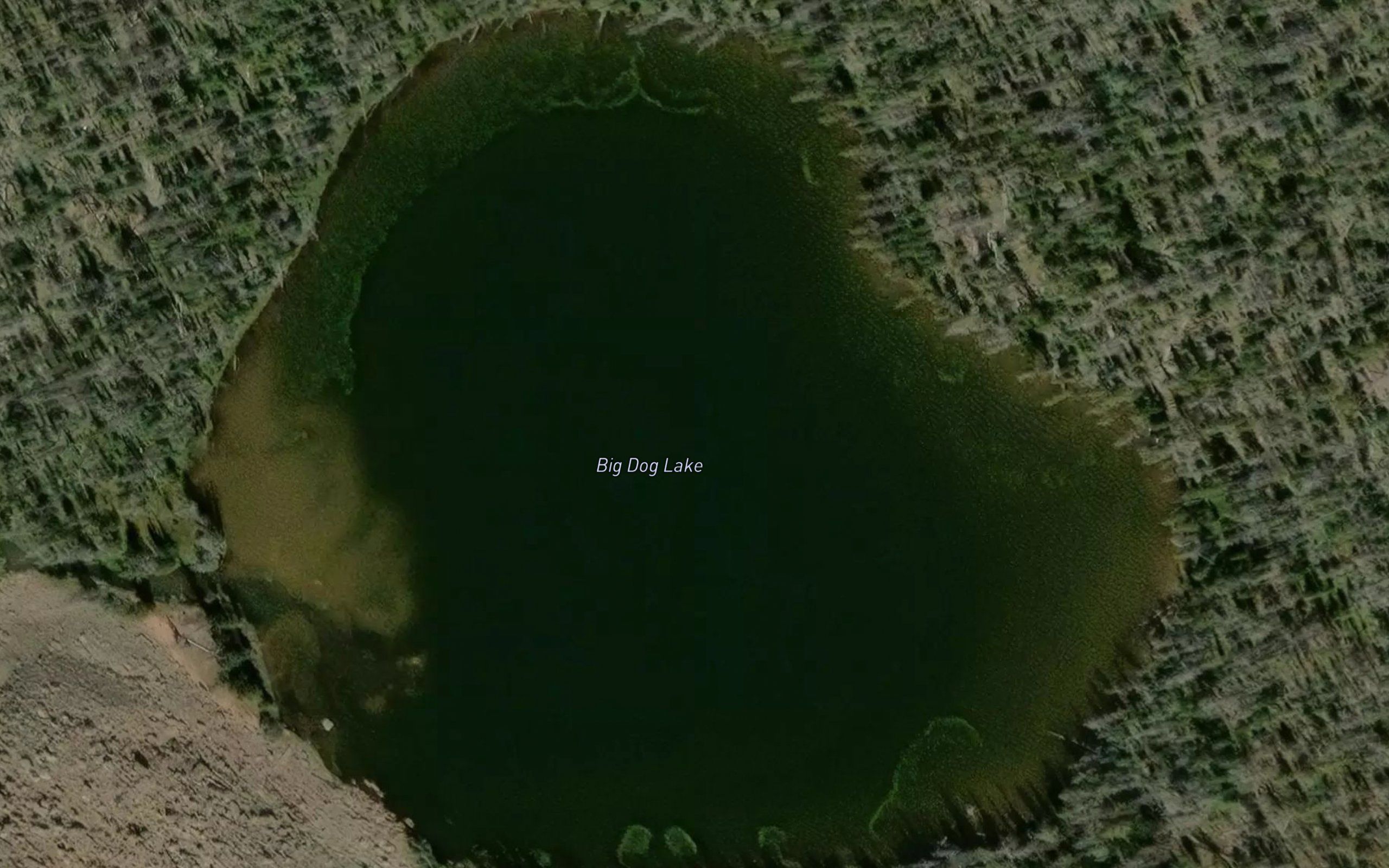 Big Dog Lake