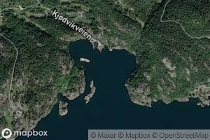 Kjodvika
