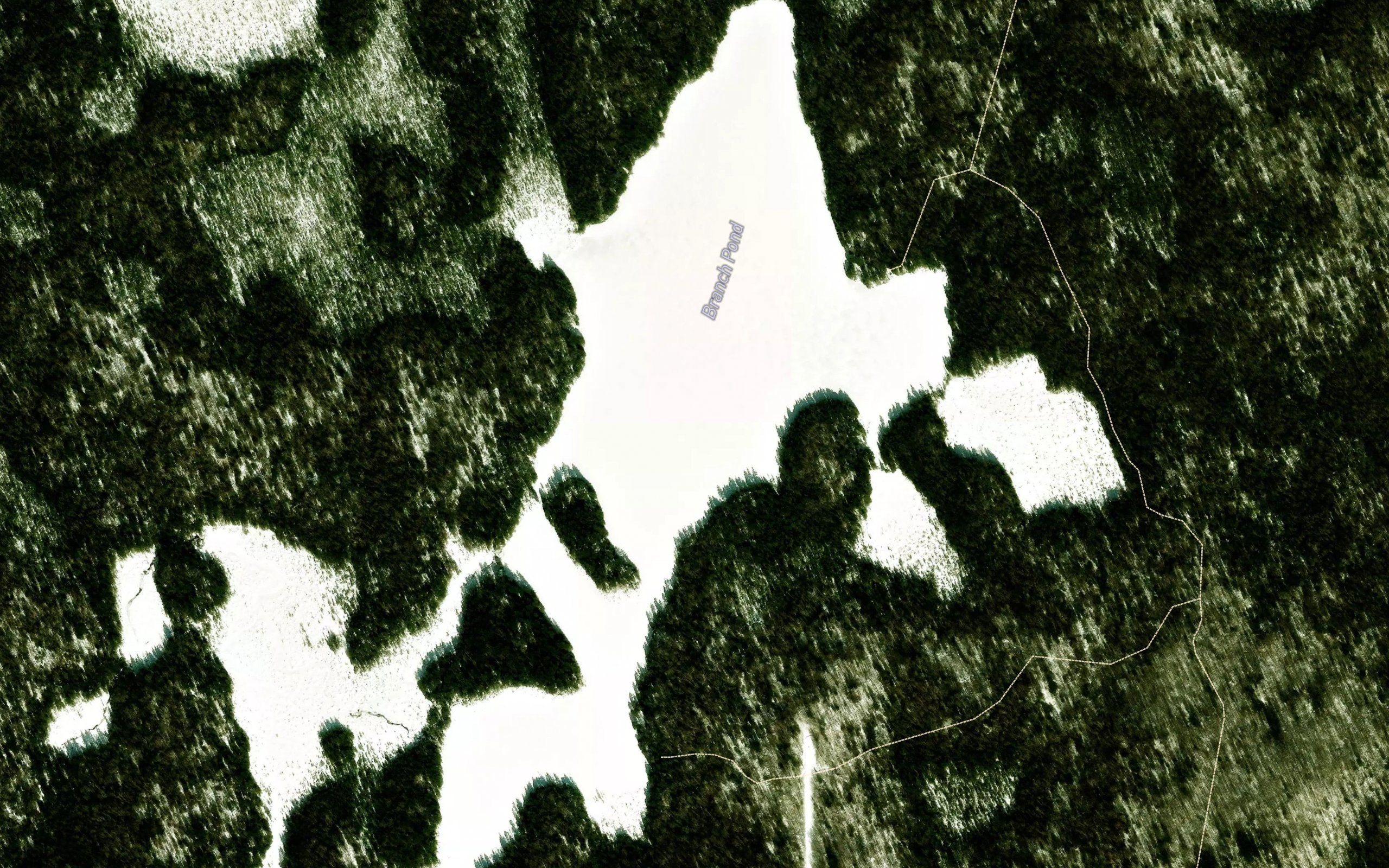Branch Pond