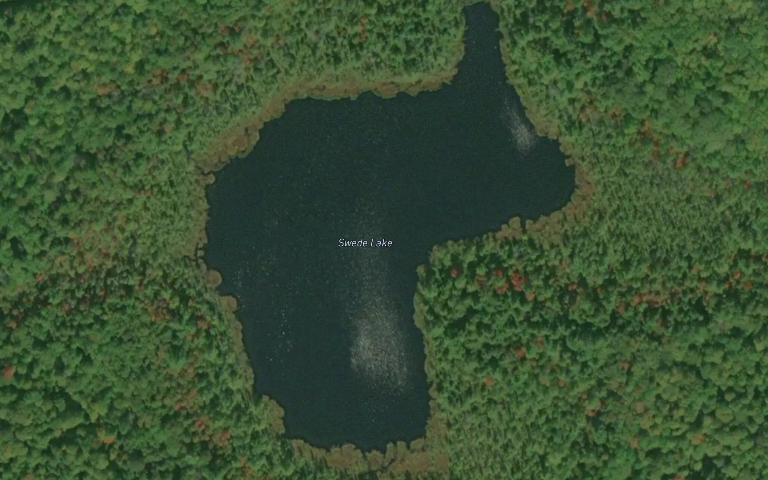 Swede Lake