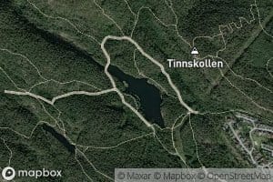Aletjern