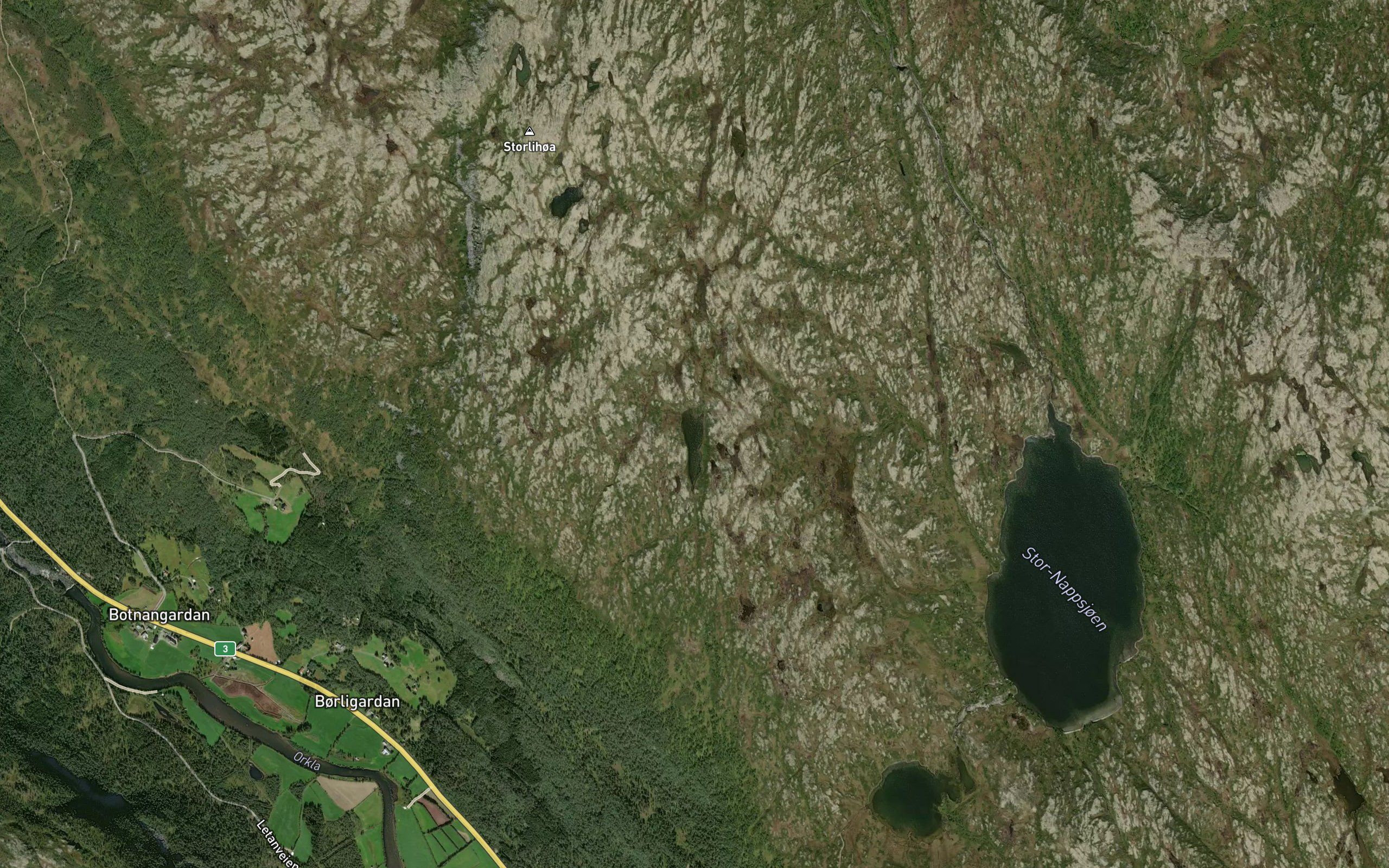 Kvenntjonna
