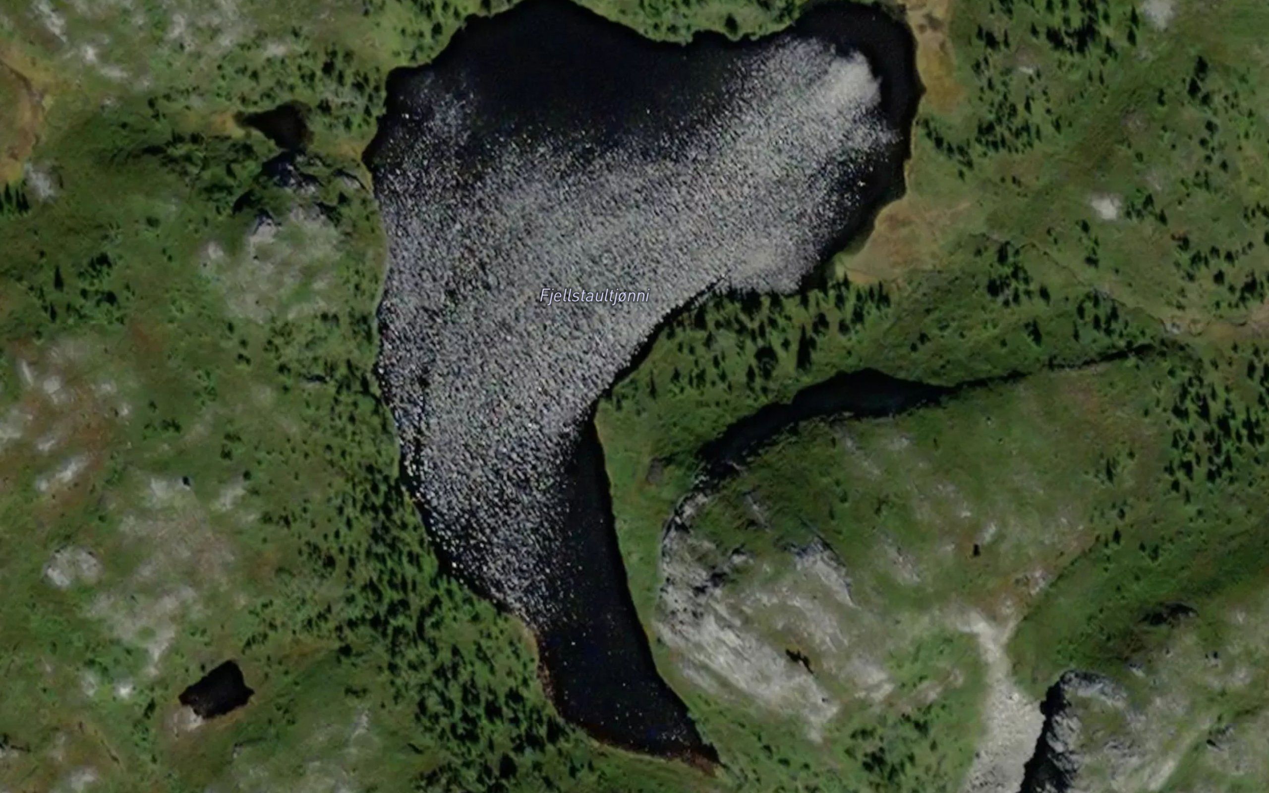 Fjellstaultjorn