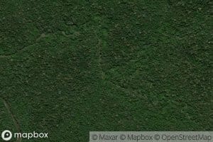 Igarape Sao Francisquinho