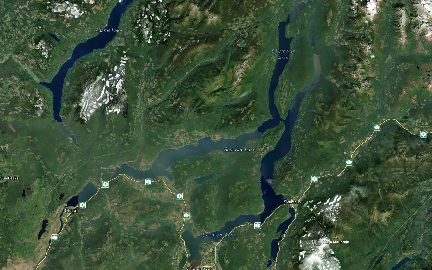 Satellite map of the Shuswap Lake