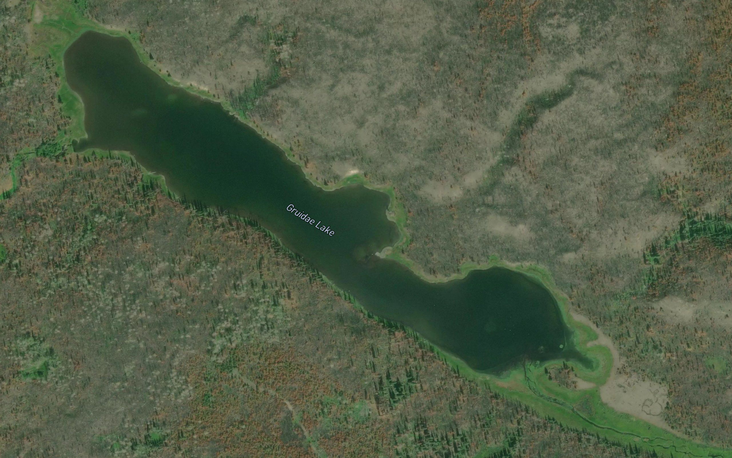 Gruidae Lake