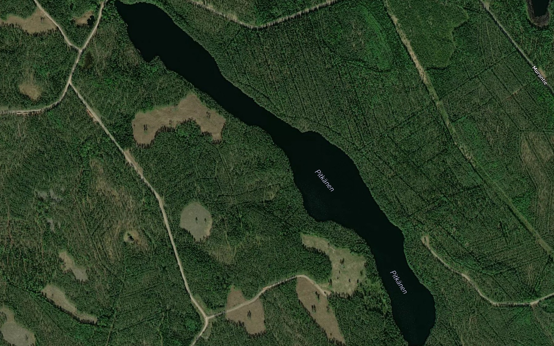 Satellite map of the Pitkanen
