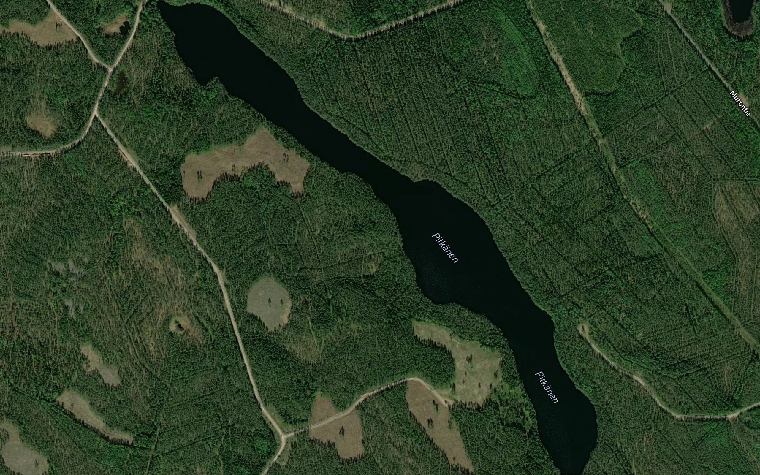 Pitkanen