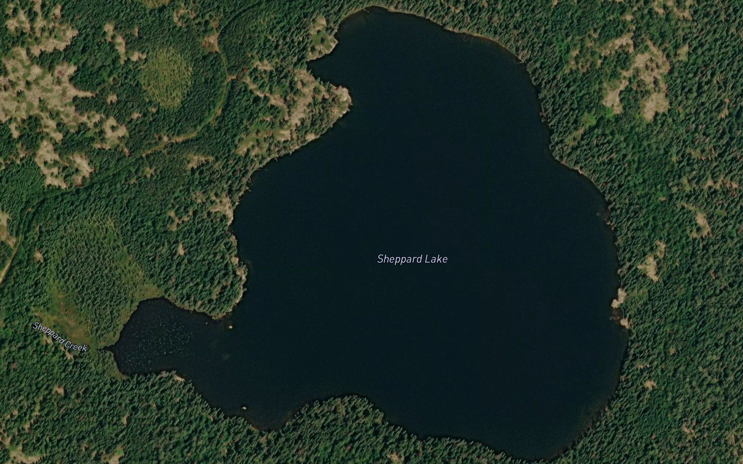 Sheppard Lake
