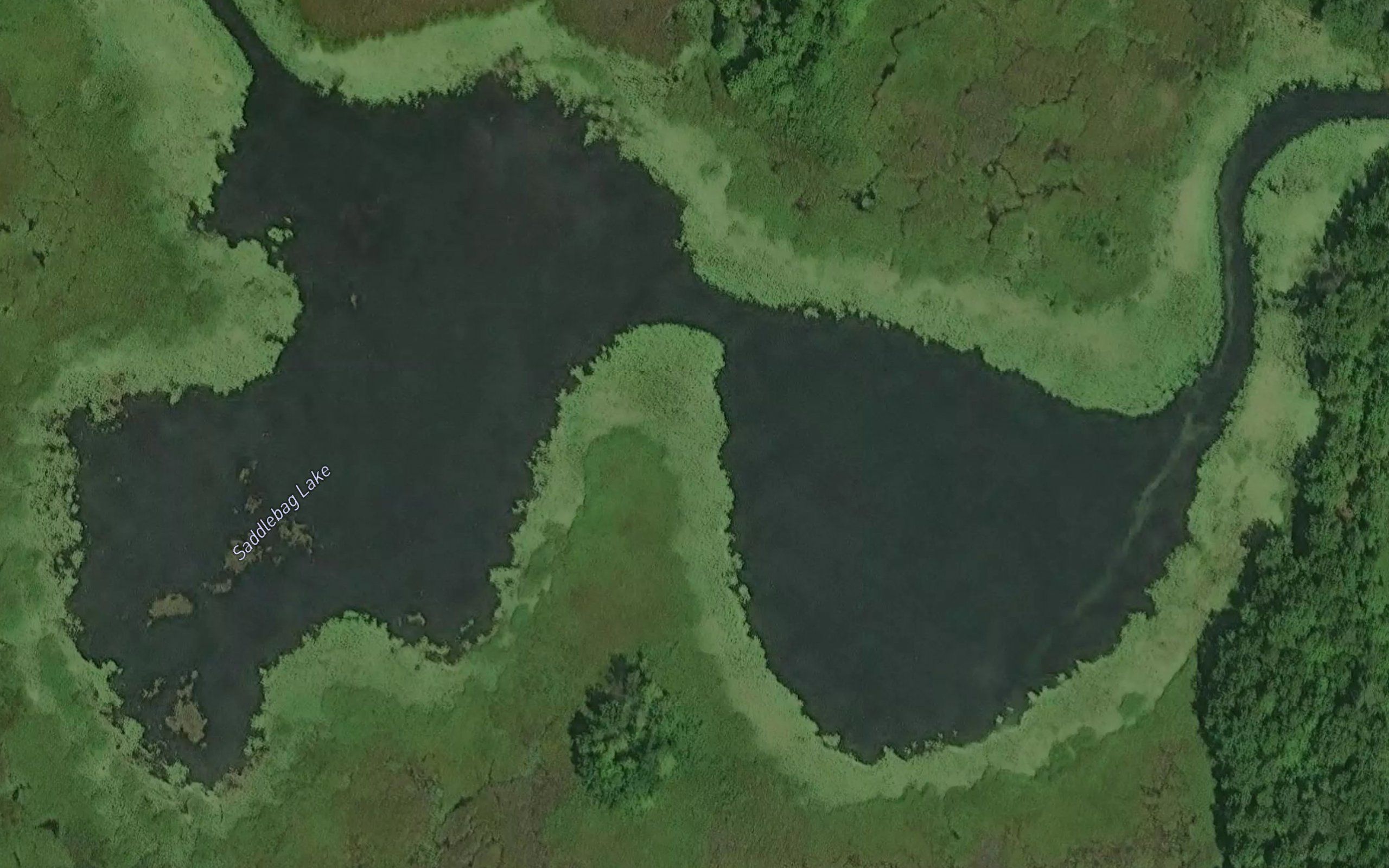 Saddlebag Lake