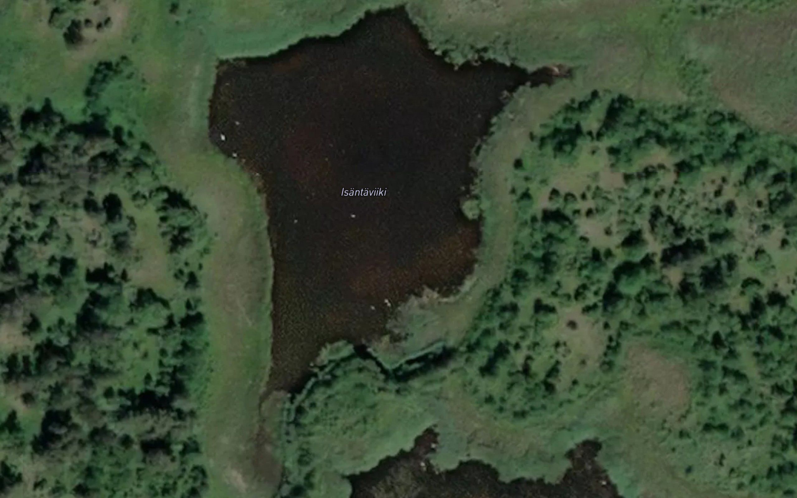 Isantaviiki