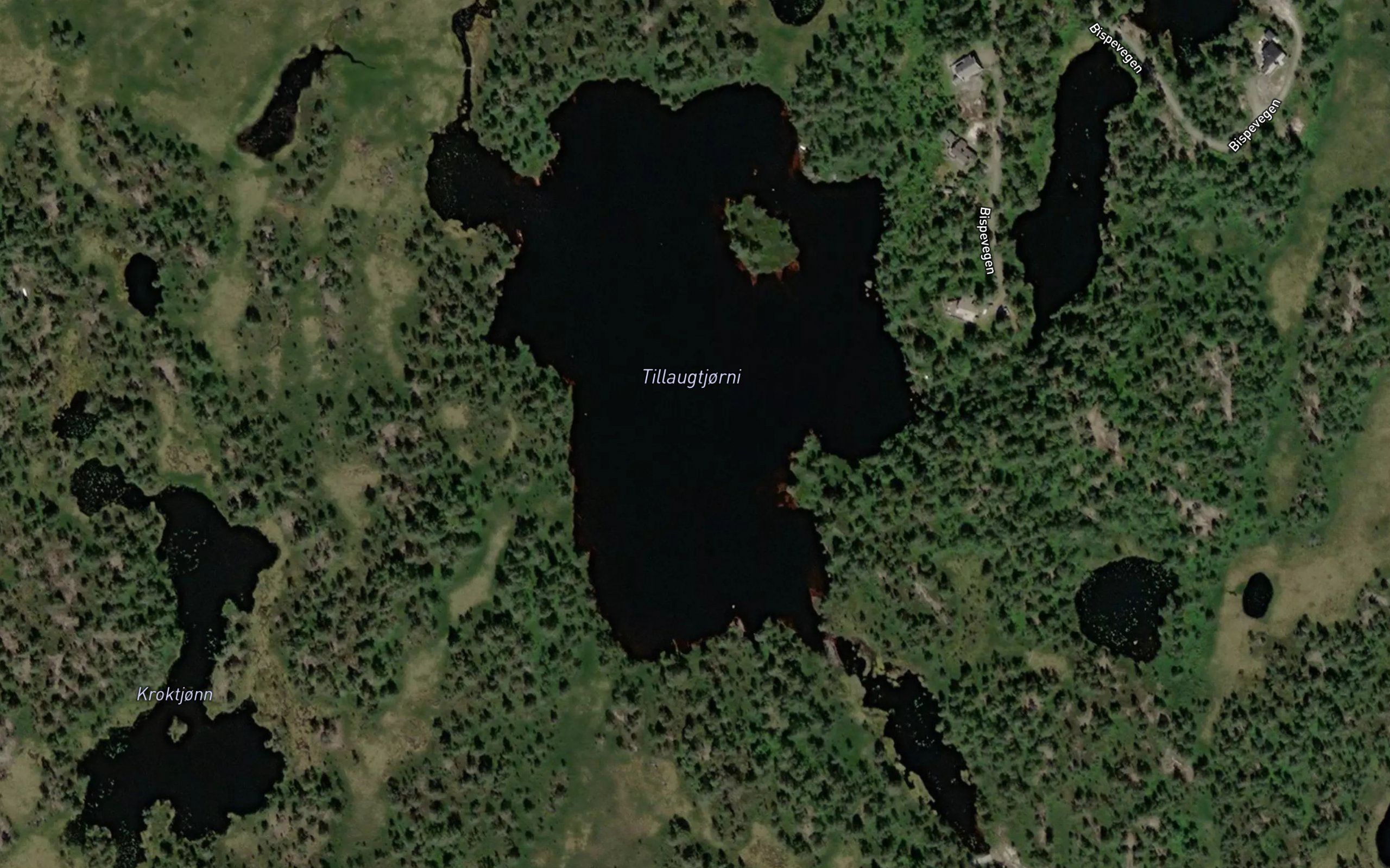 Tillaugtjorni