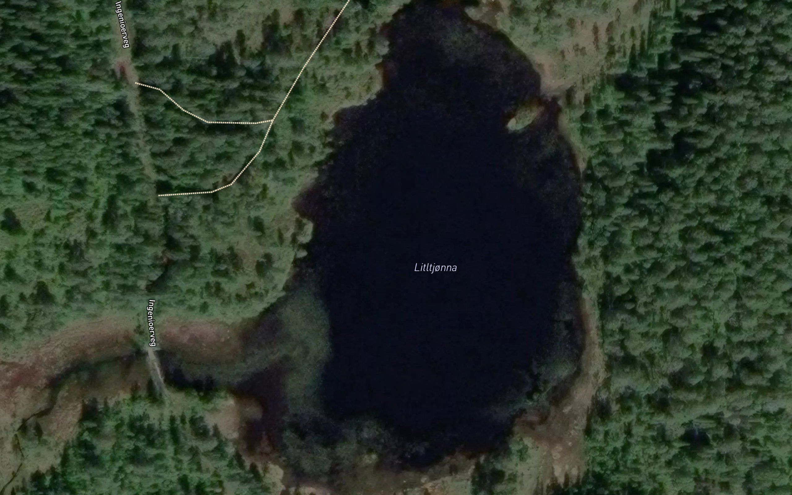 Litletjorna