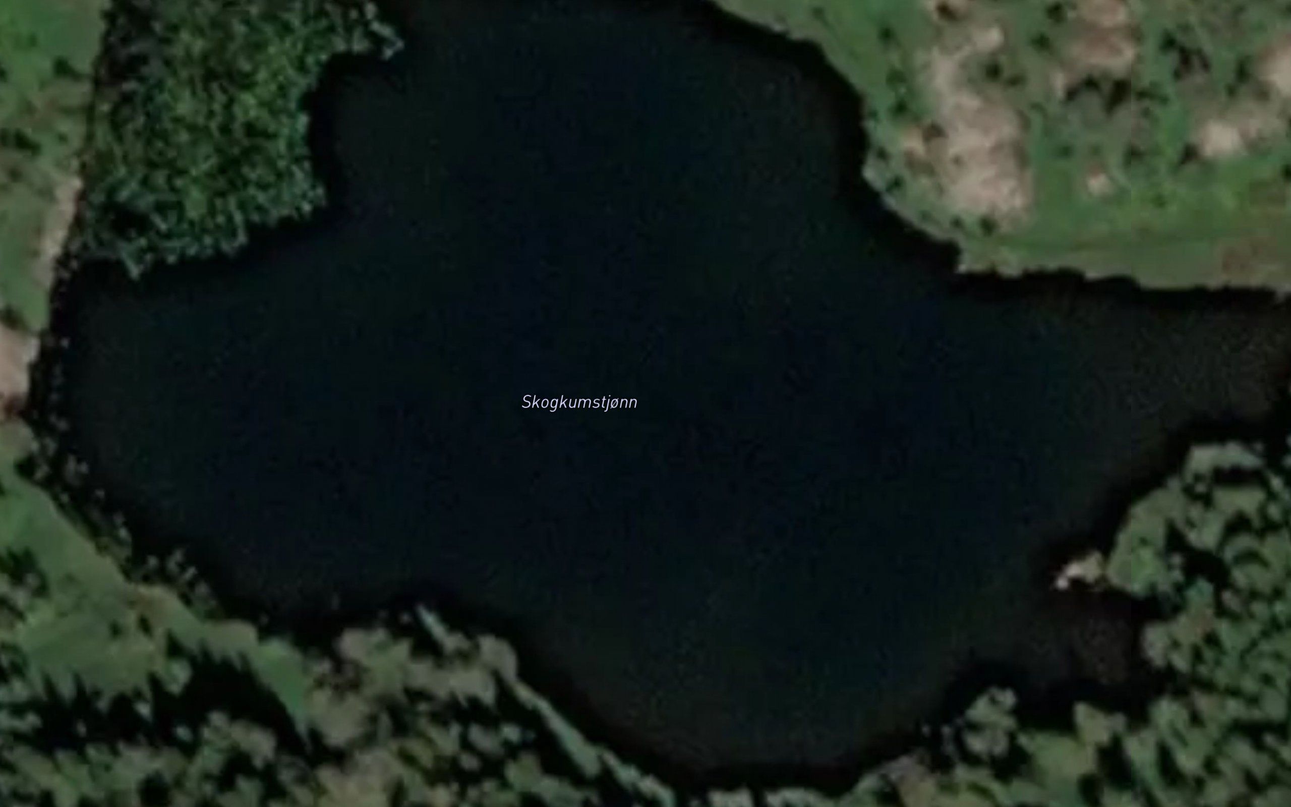 Skogkumstjonn